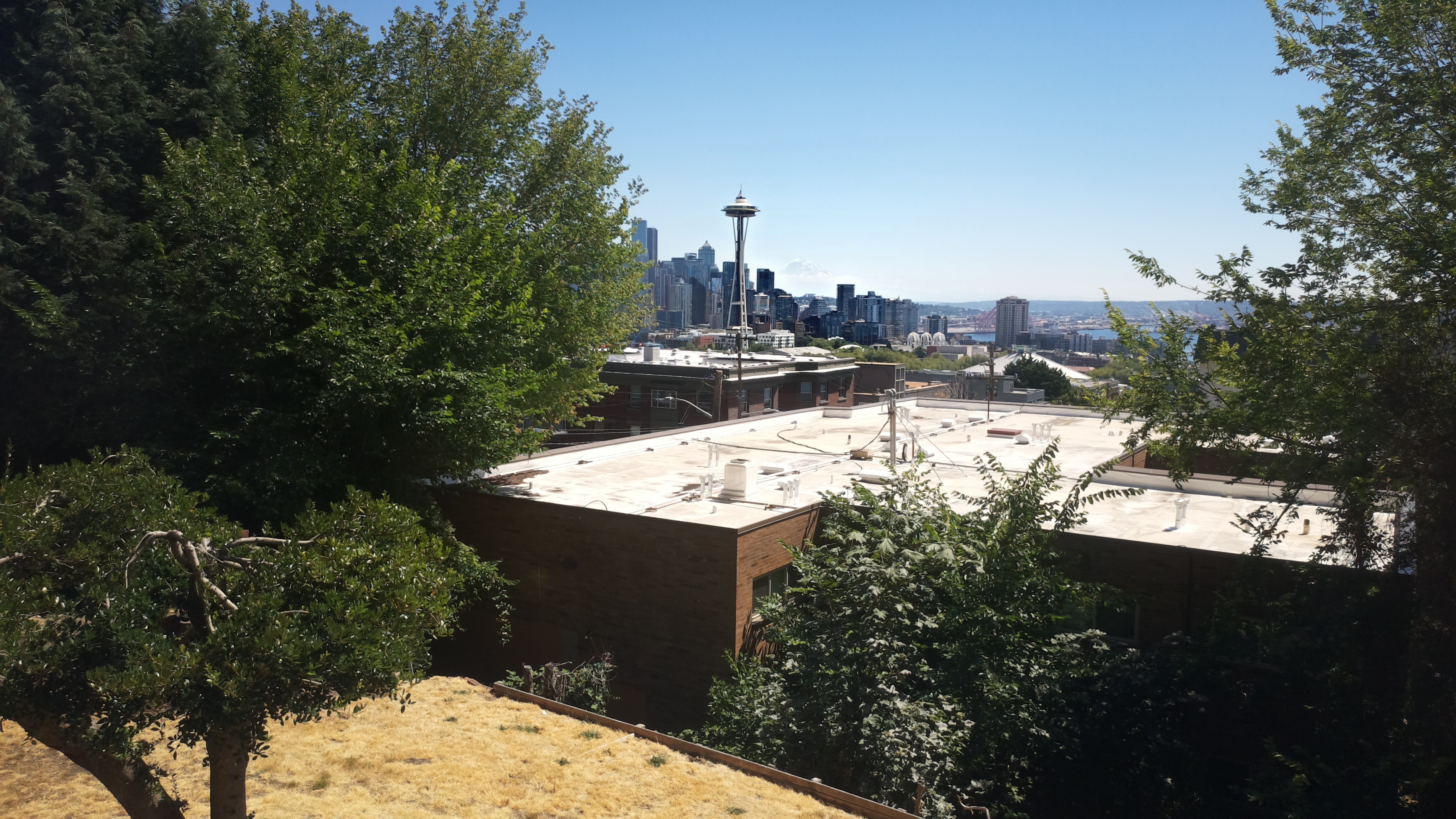 Mt. Rainier from Seattle — Thursday, July 30