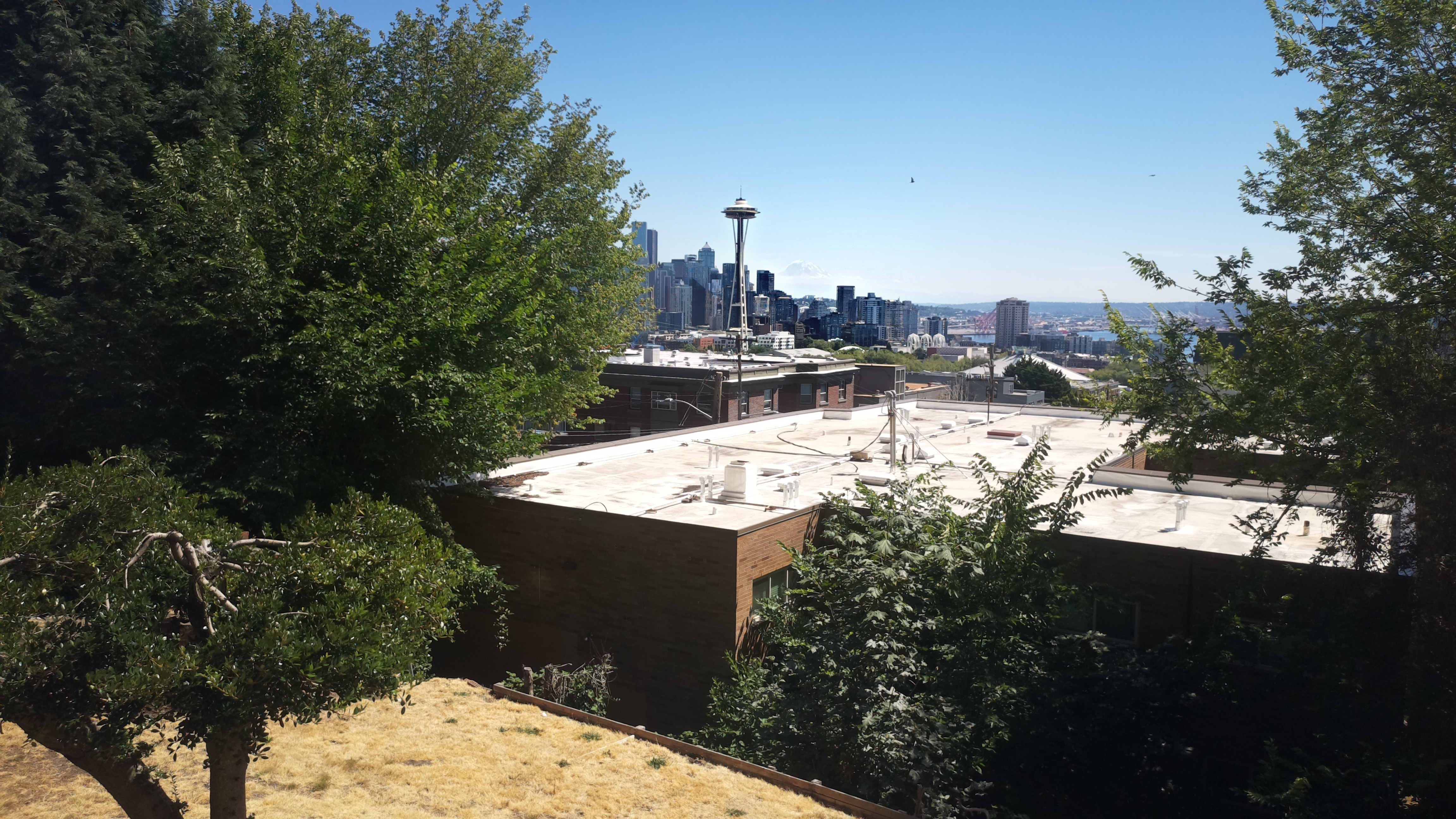 Mt. Rainier from Seattle — Thursday, July 30