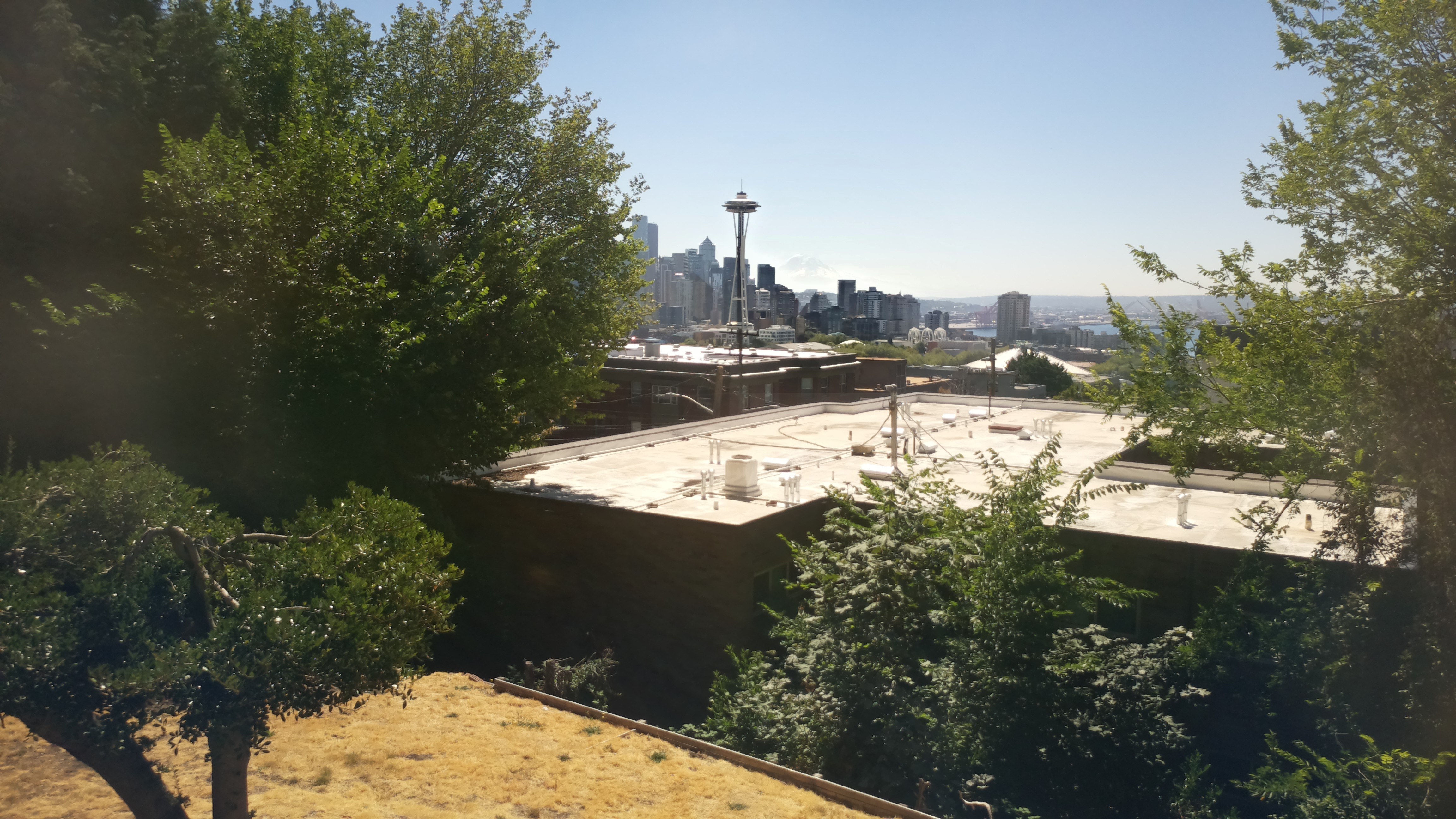 Mt. Rainier from Seattle — Friday, July 31