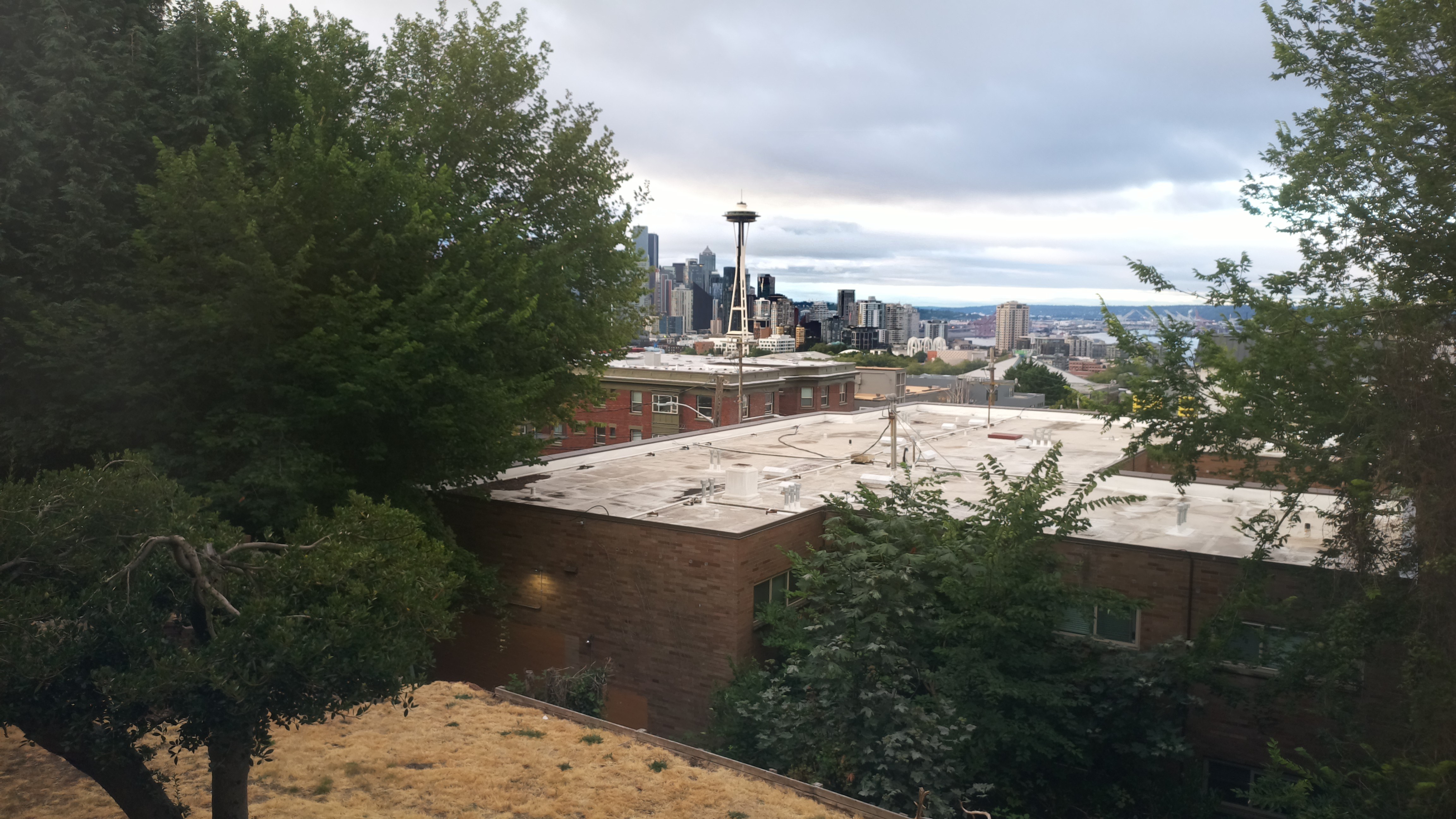 Mt. Rainier from Seattle — Saturday, August 1