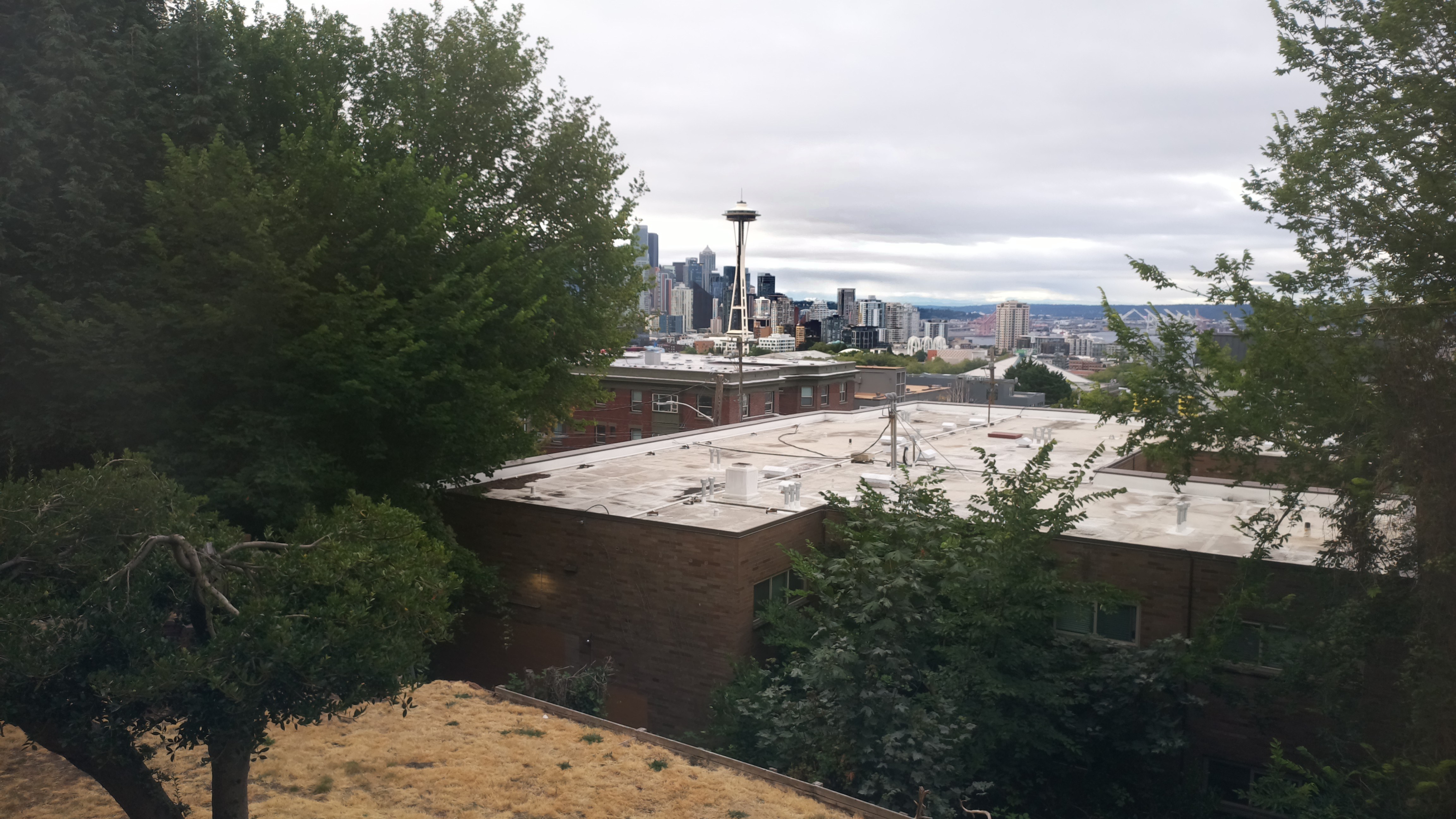 Mt. Rainier from Seattle — Saturday, August 1