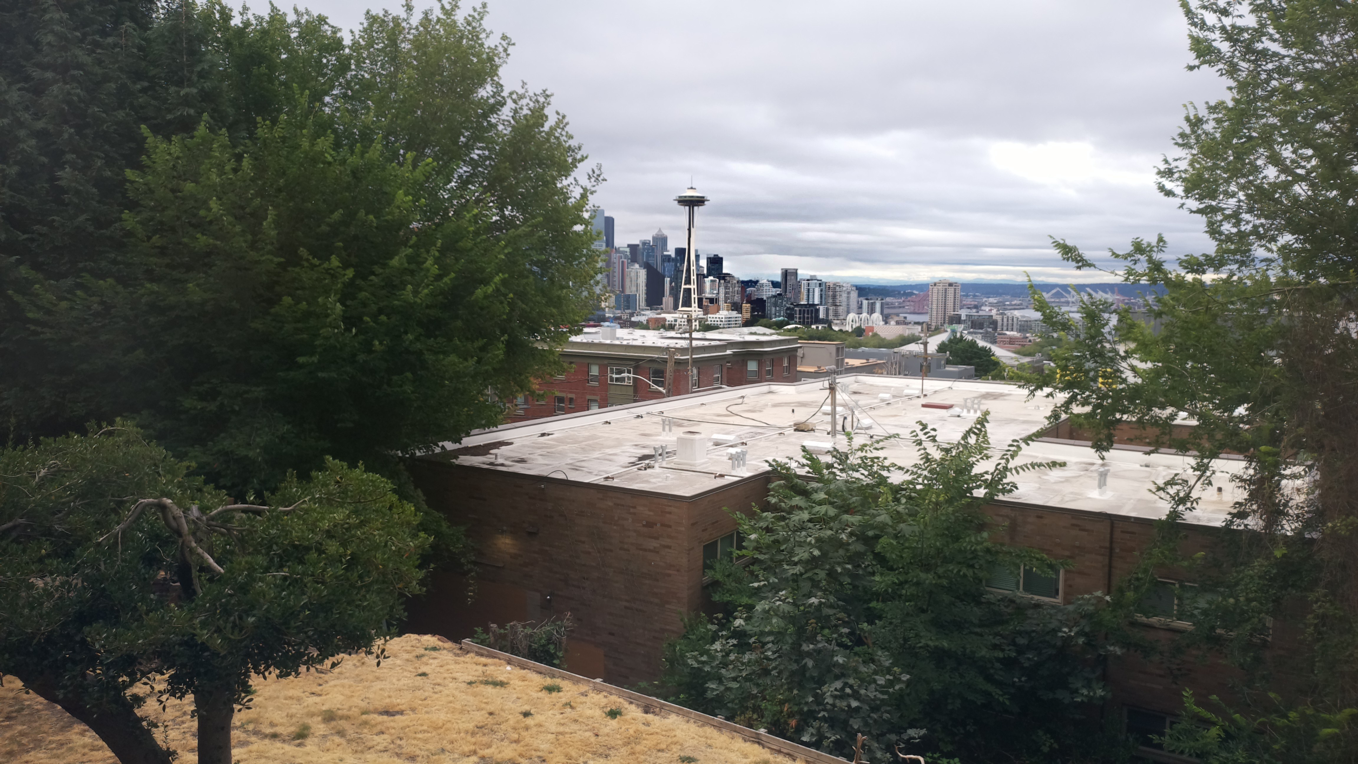 Mt. Rainier from Seattle — Saturday, August 1