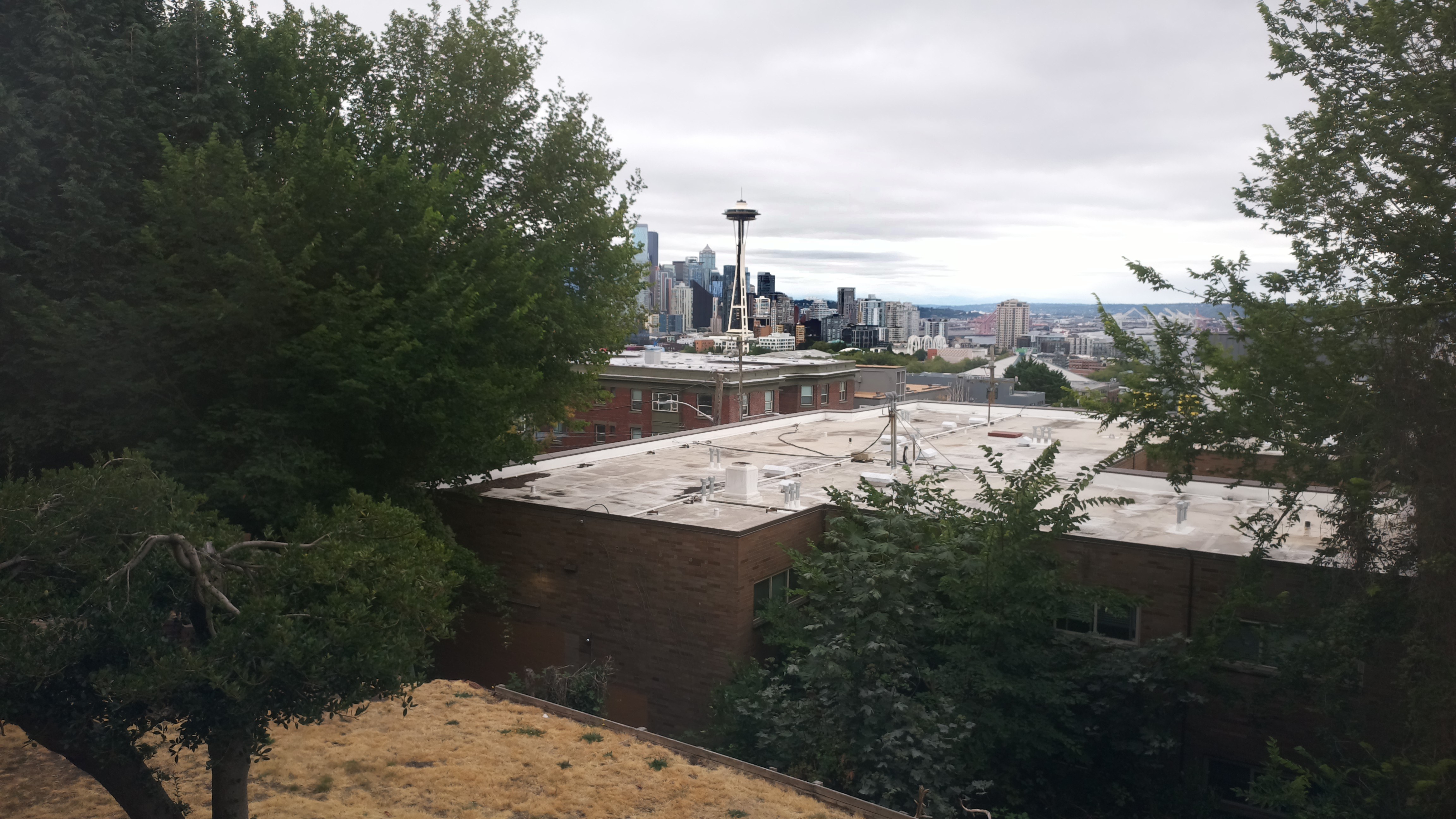 Mt. Rainier from Seattle — Saturday, August 1
