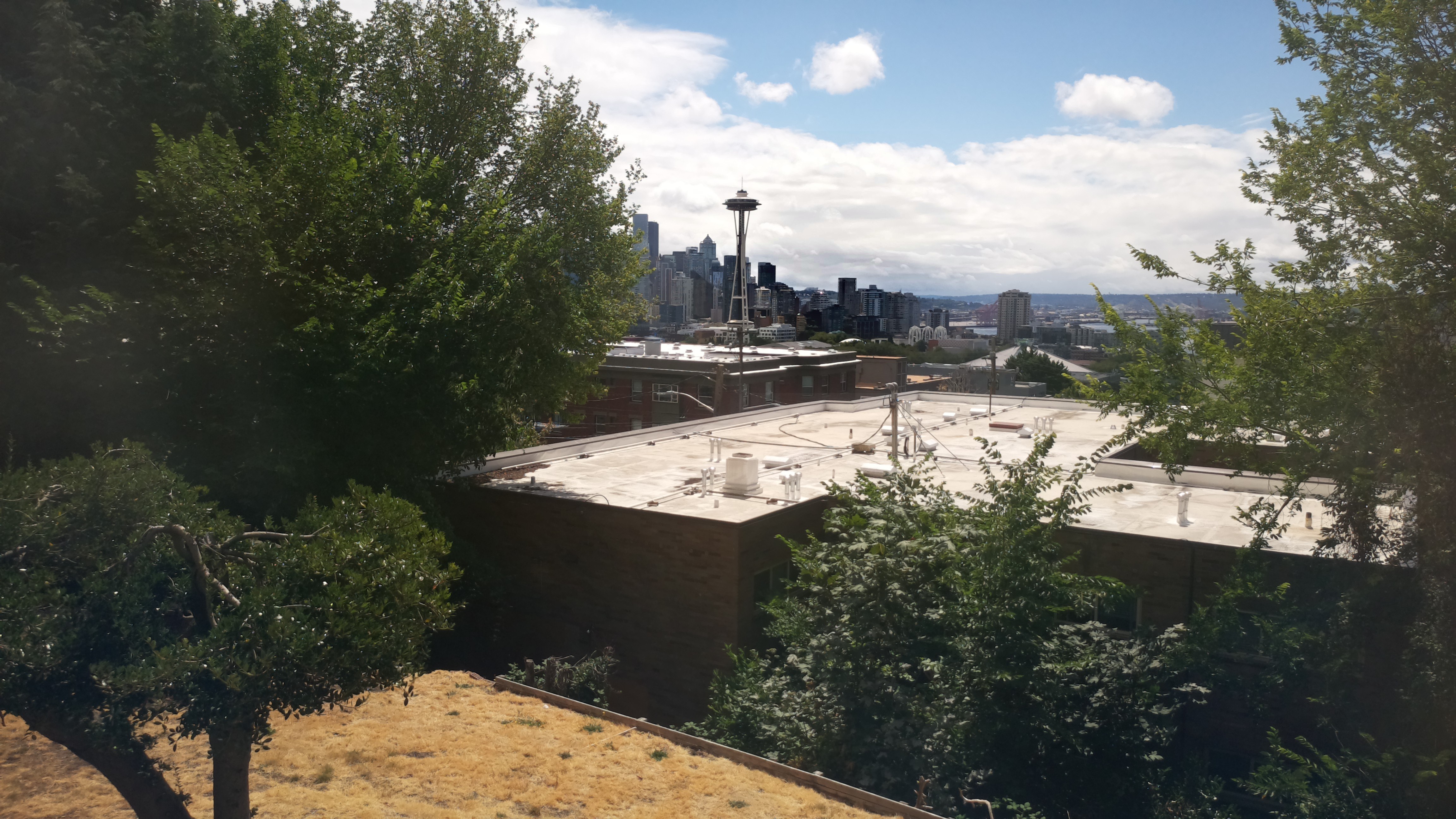 Mt. Rainier from Seattle — Saturday, August 1