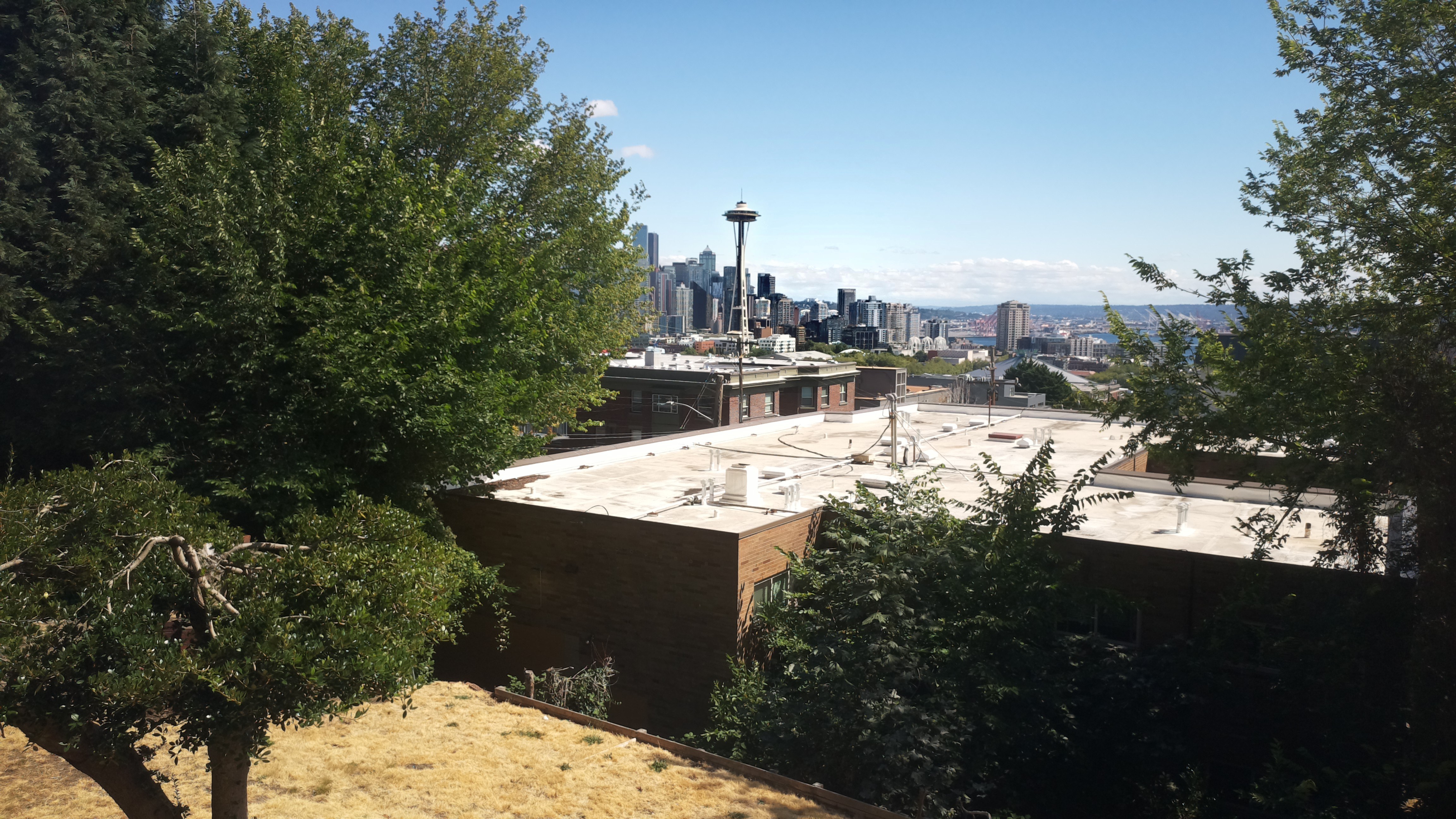Mt. Rainier from Seattle — Saturday, August 1