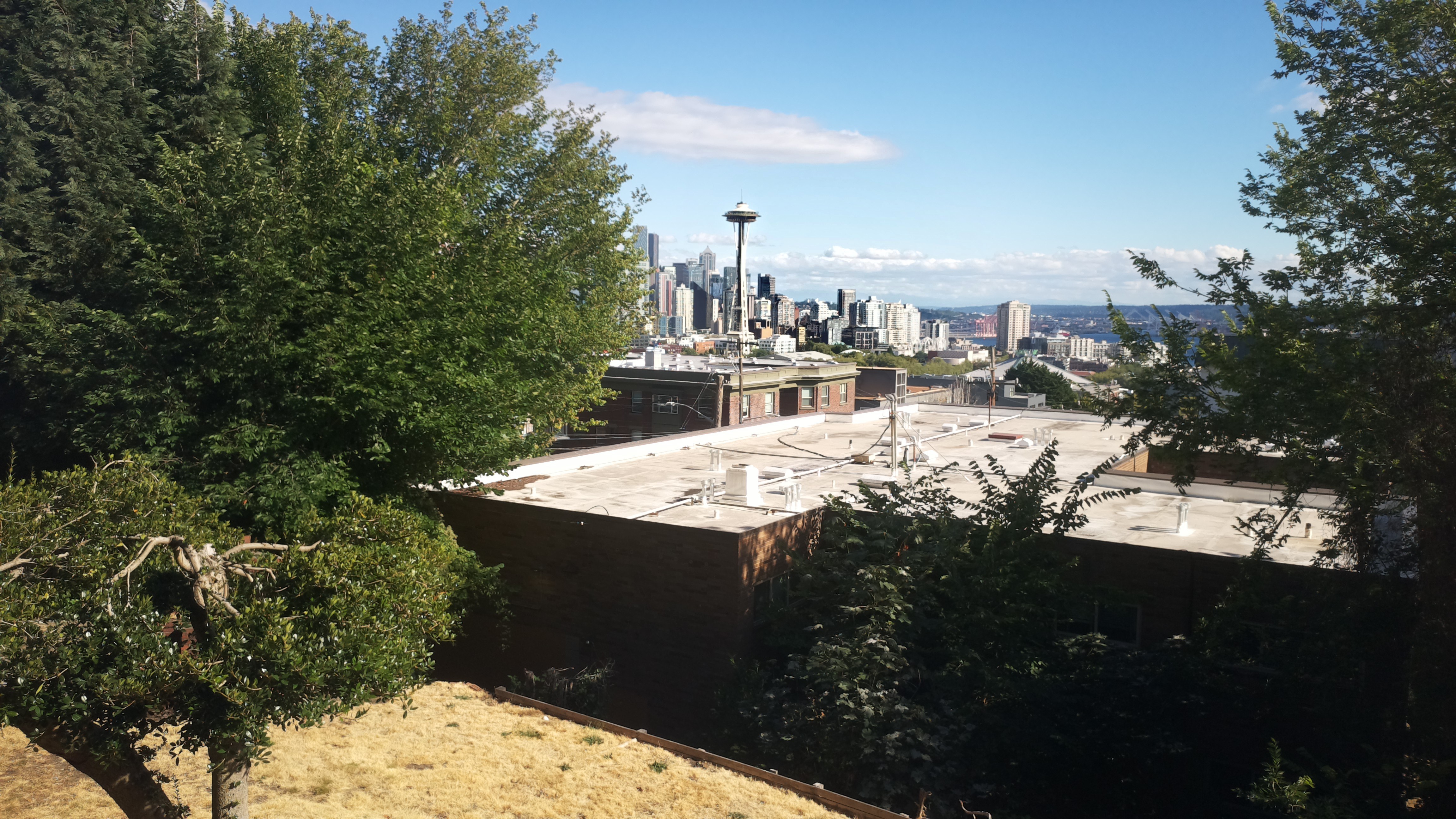 Mt. Rainier from Seattle — Saturday, August 1