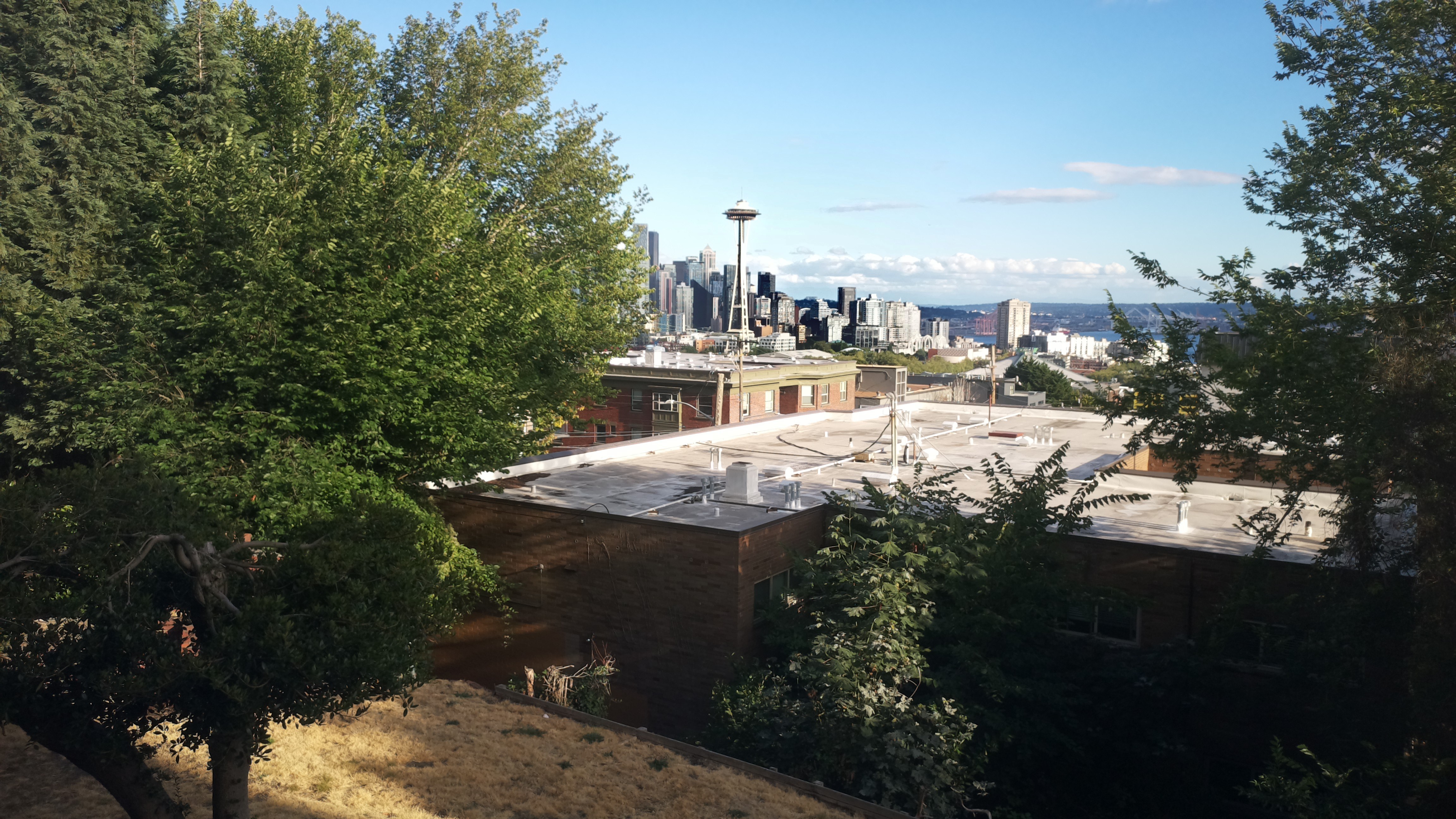 Mt. Rainier from Seattle — Saturday, August 1