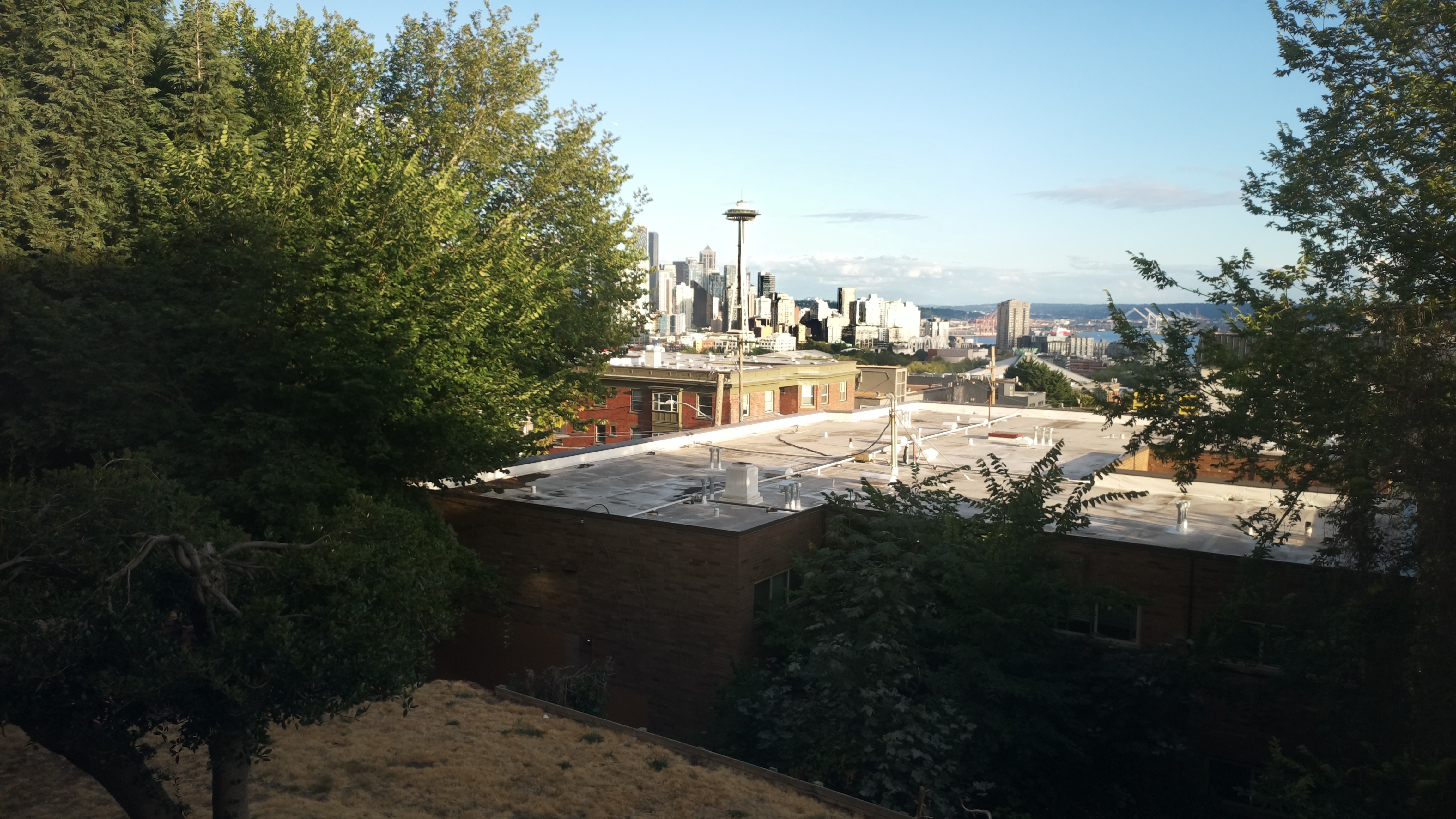 Mt. Rainier from Seattle — Saturday, August 1