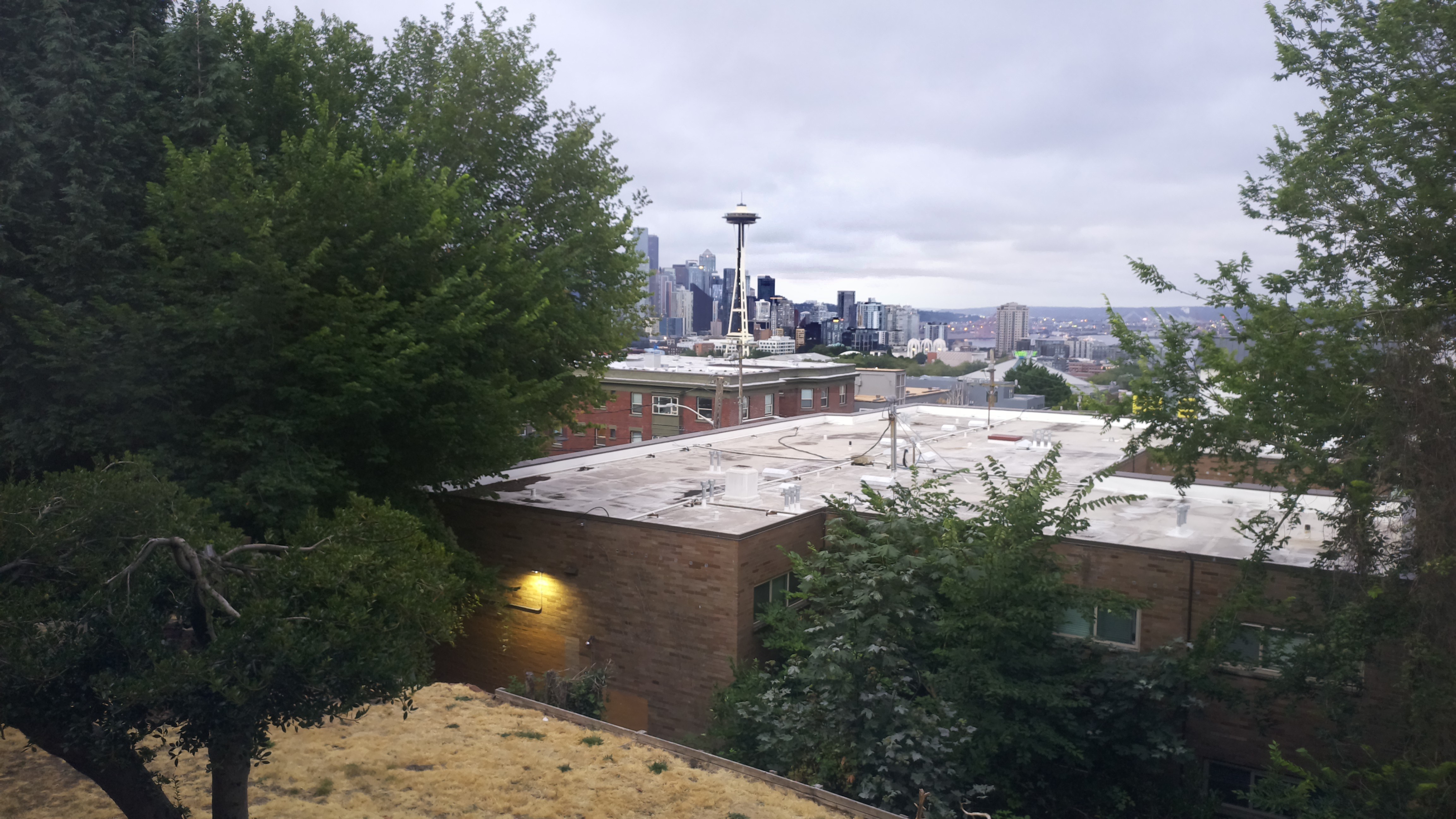 Mt. Rainier from Seattle — Sunday, August 2