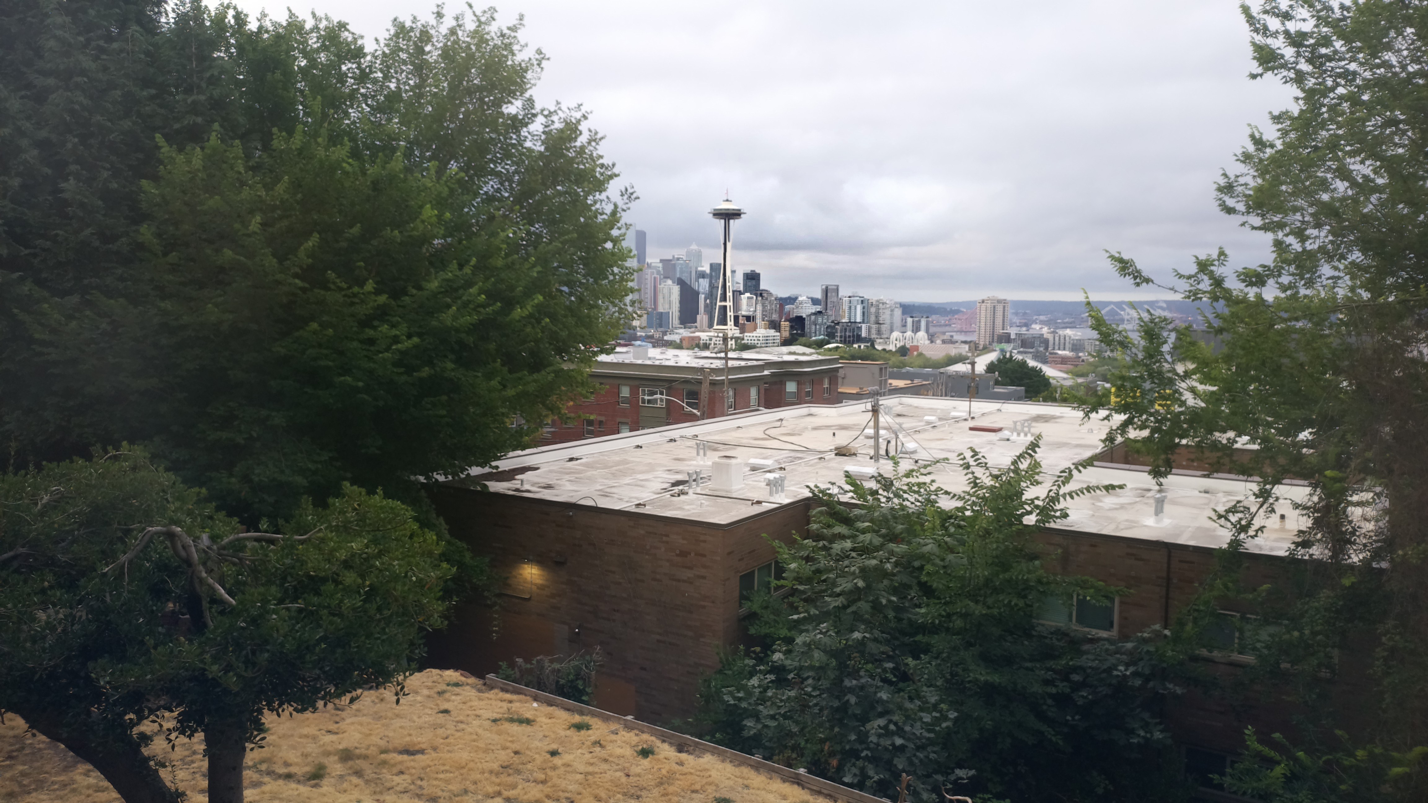 Mt. Rainier from Seattle — Sunday, August 2