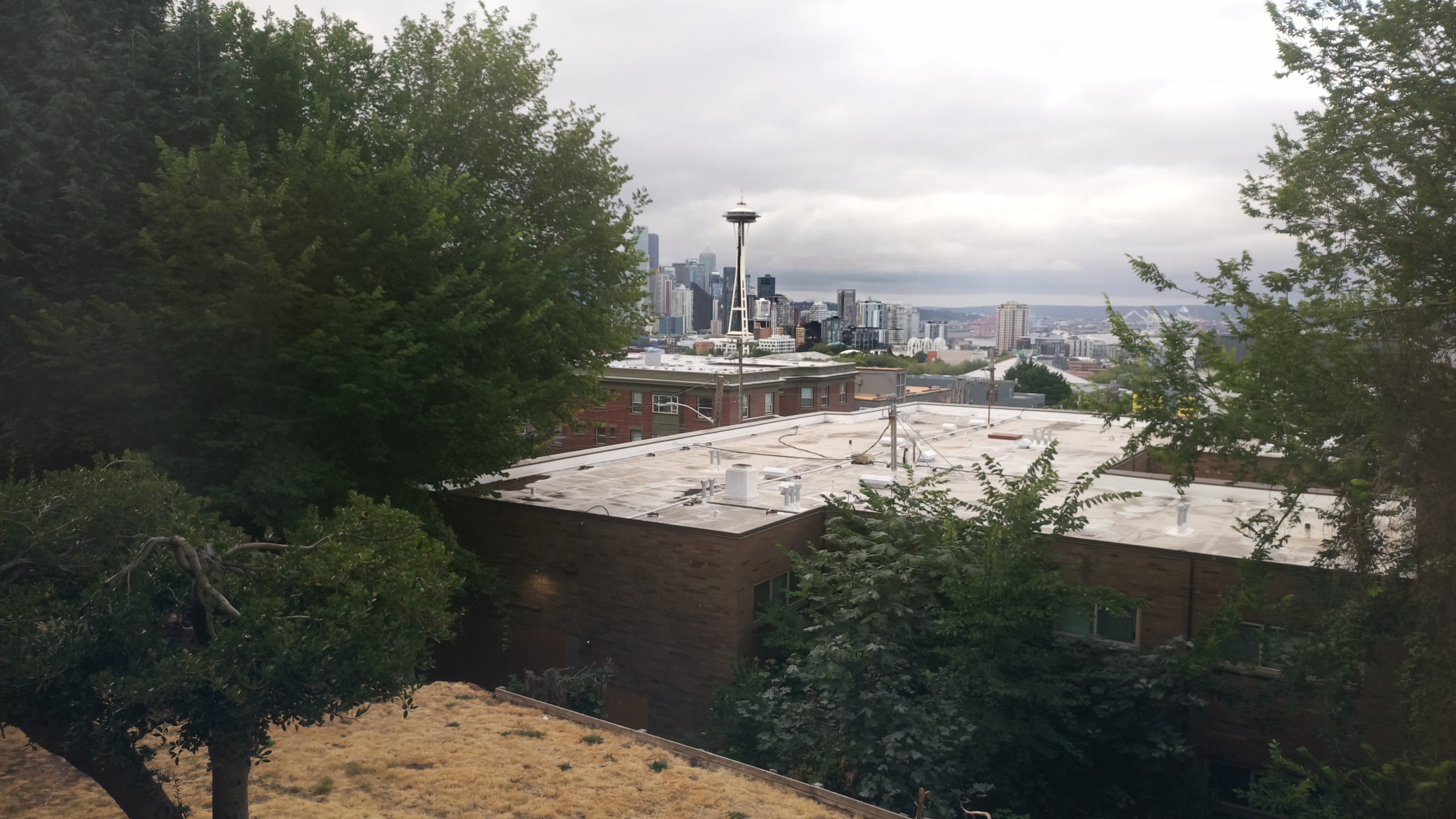 Mt. Rainier from Seattle — Sunday, August 2