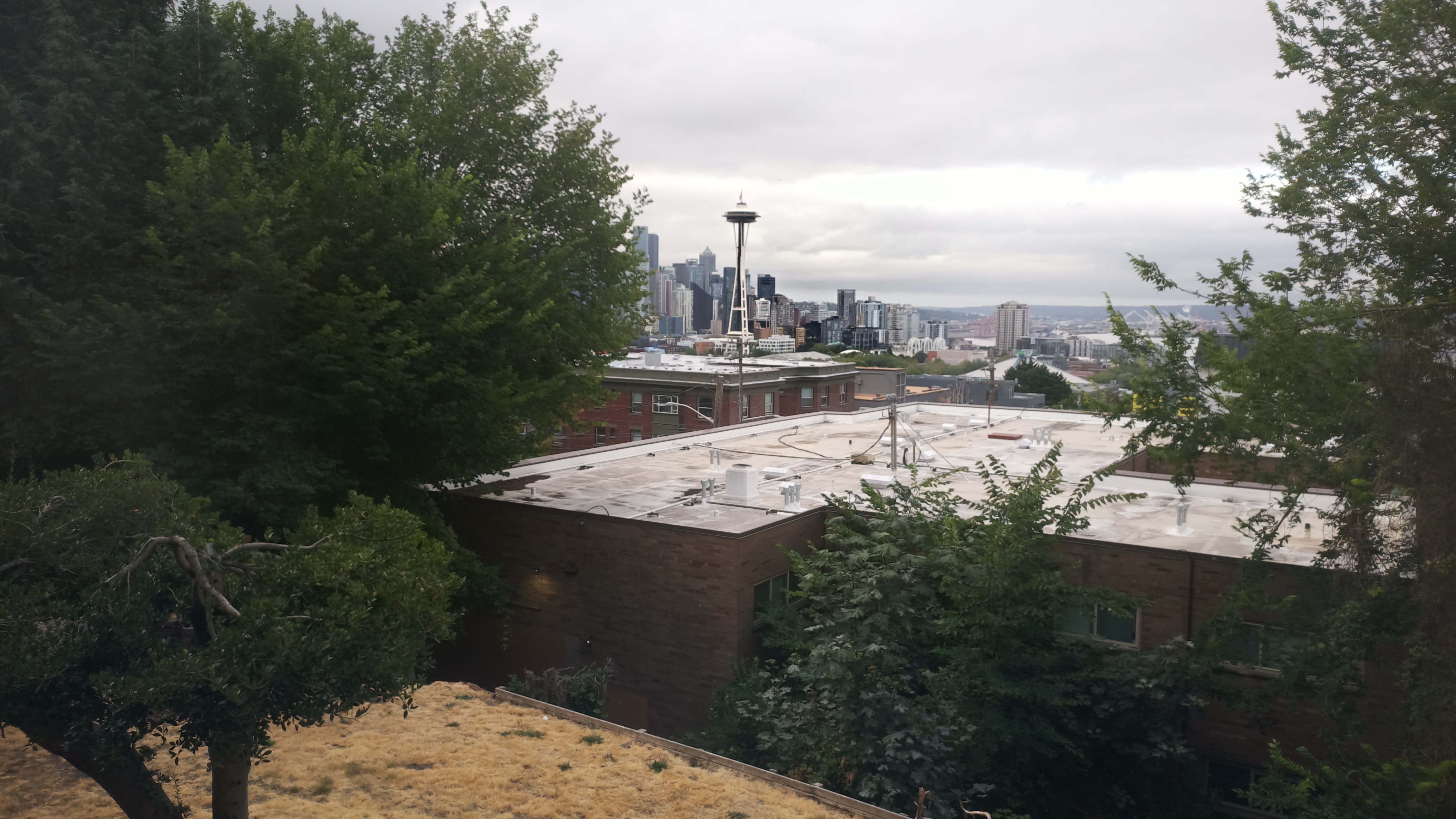 Mt. Rainier from Seattle — Sunday, August 2
