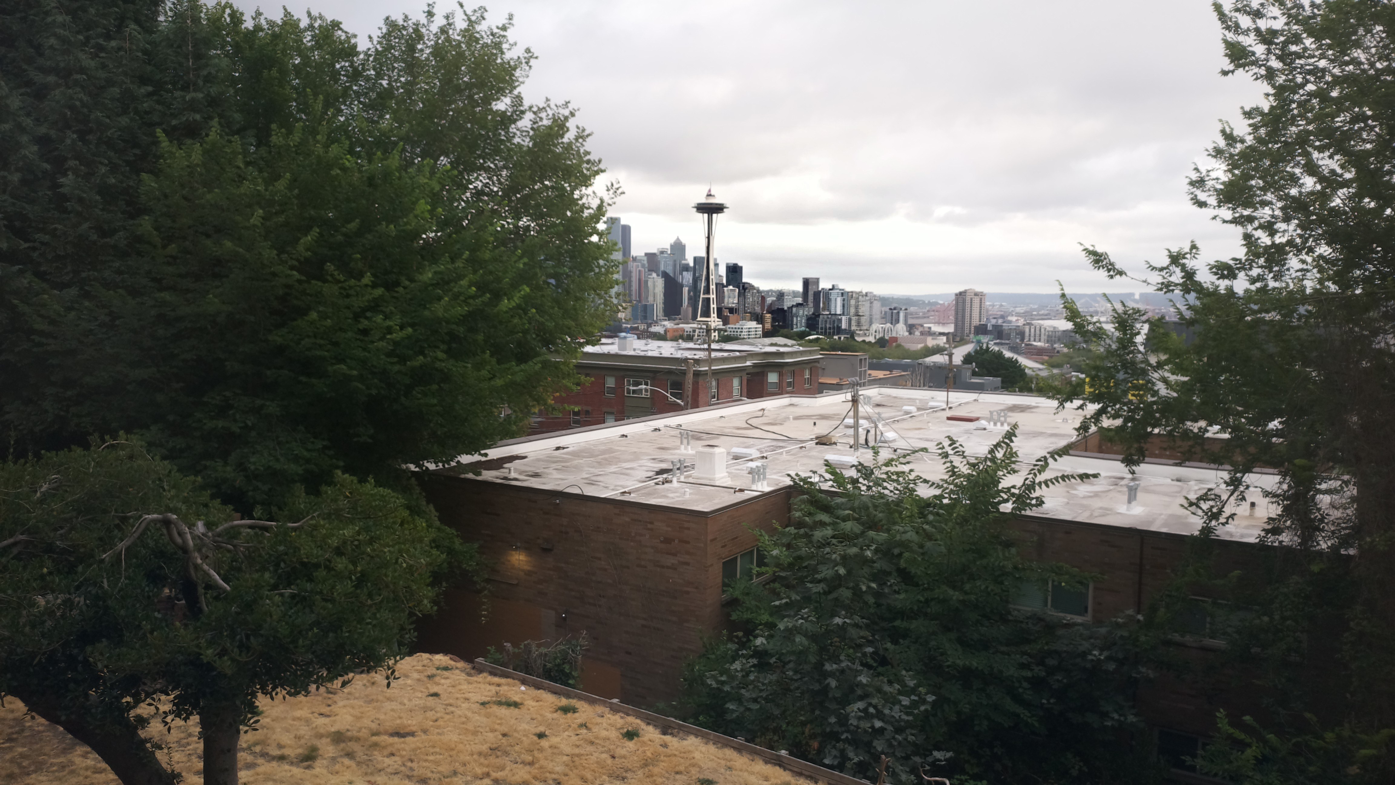 Mt. Rainier from Seattle — Sunday, August 2
