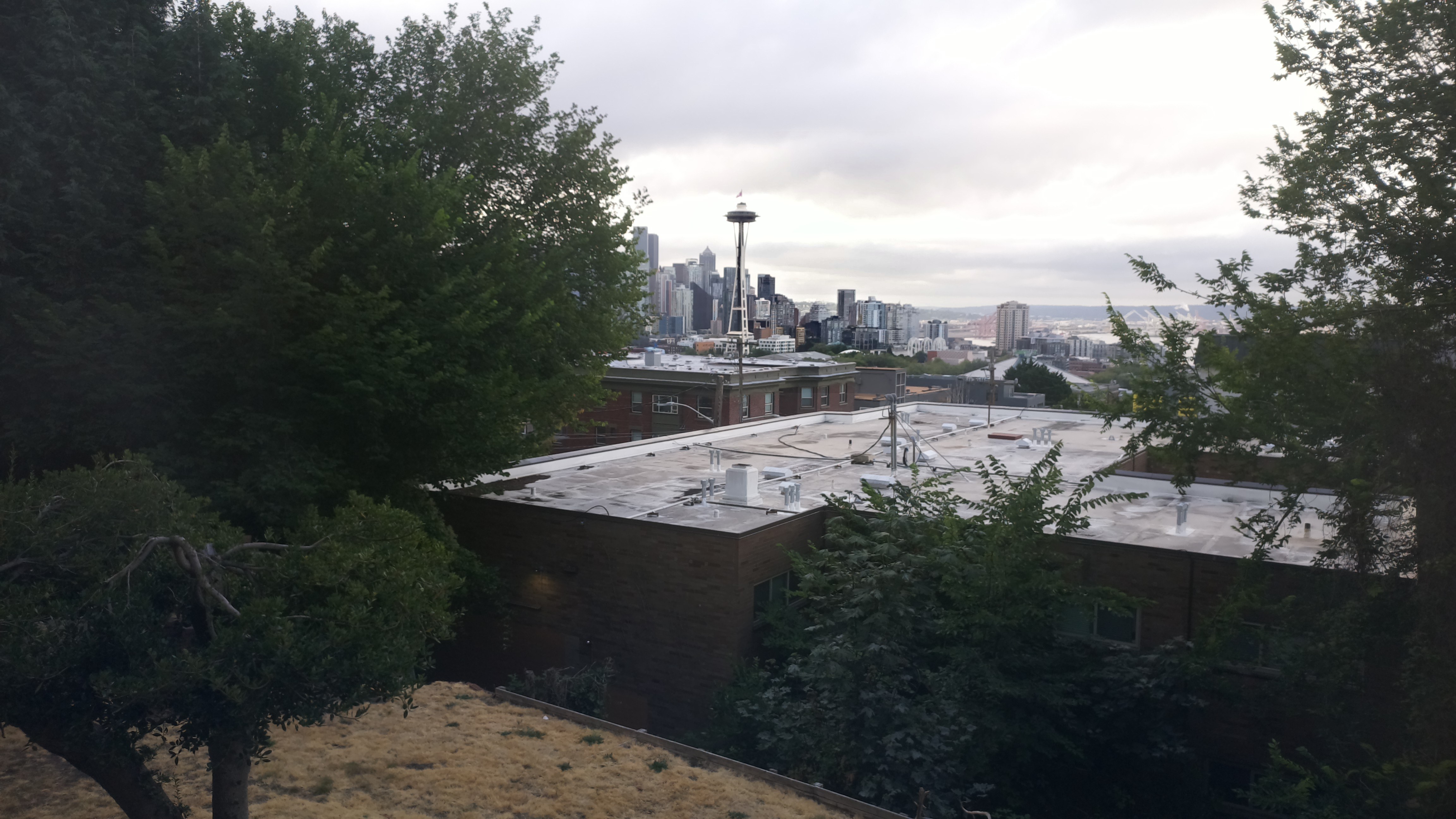 Mt. Rainier from Seattle — Sunday, August 2