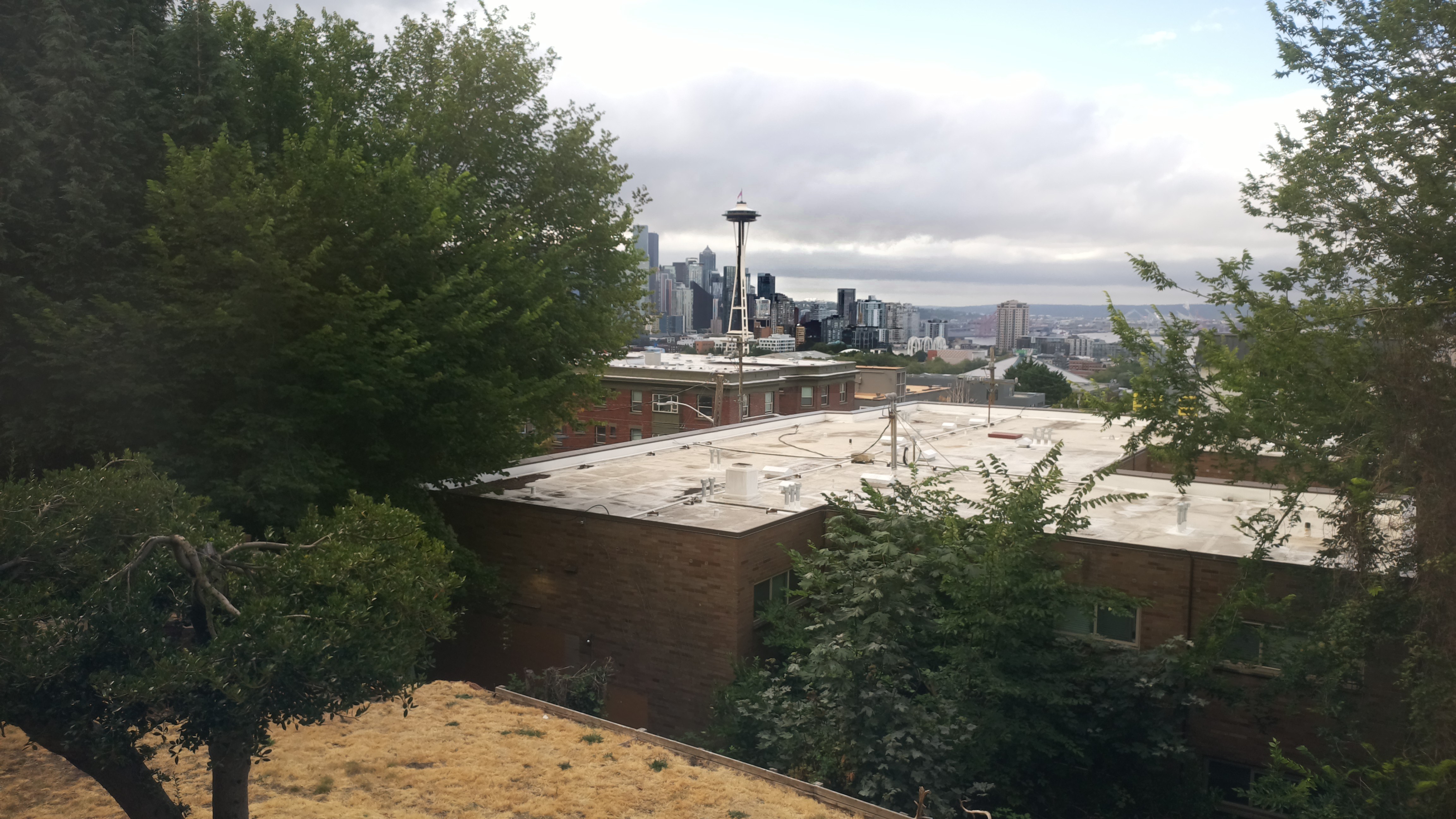 Mt. Rainier from Seattle — Sunday, August 2