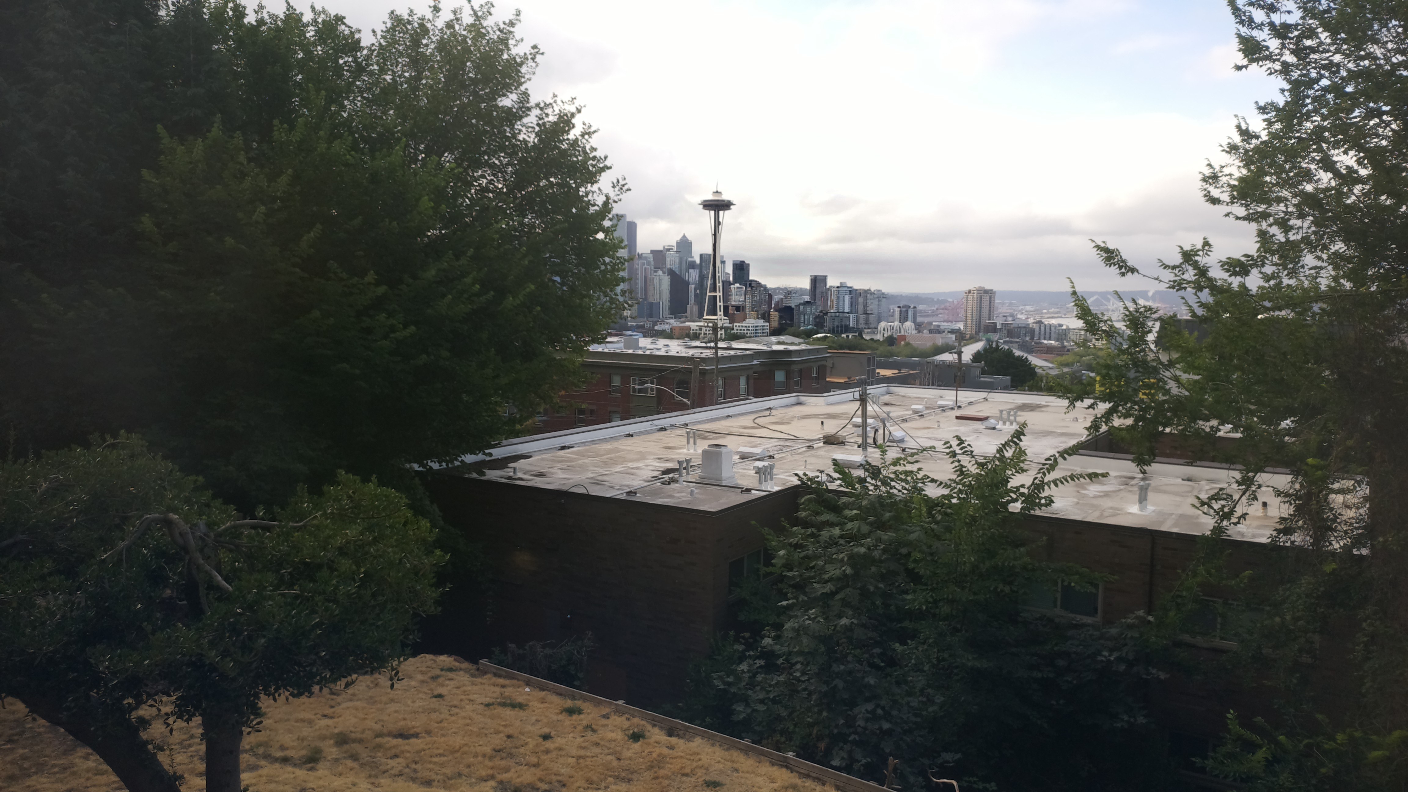 Mt. Rainier from Seattle — Sunday, August 2