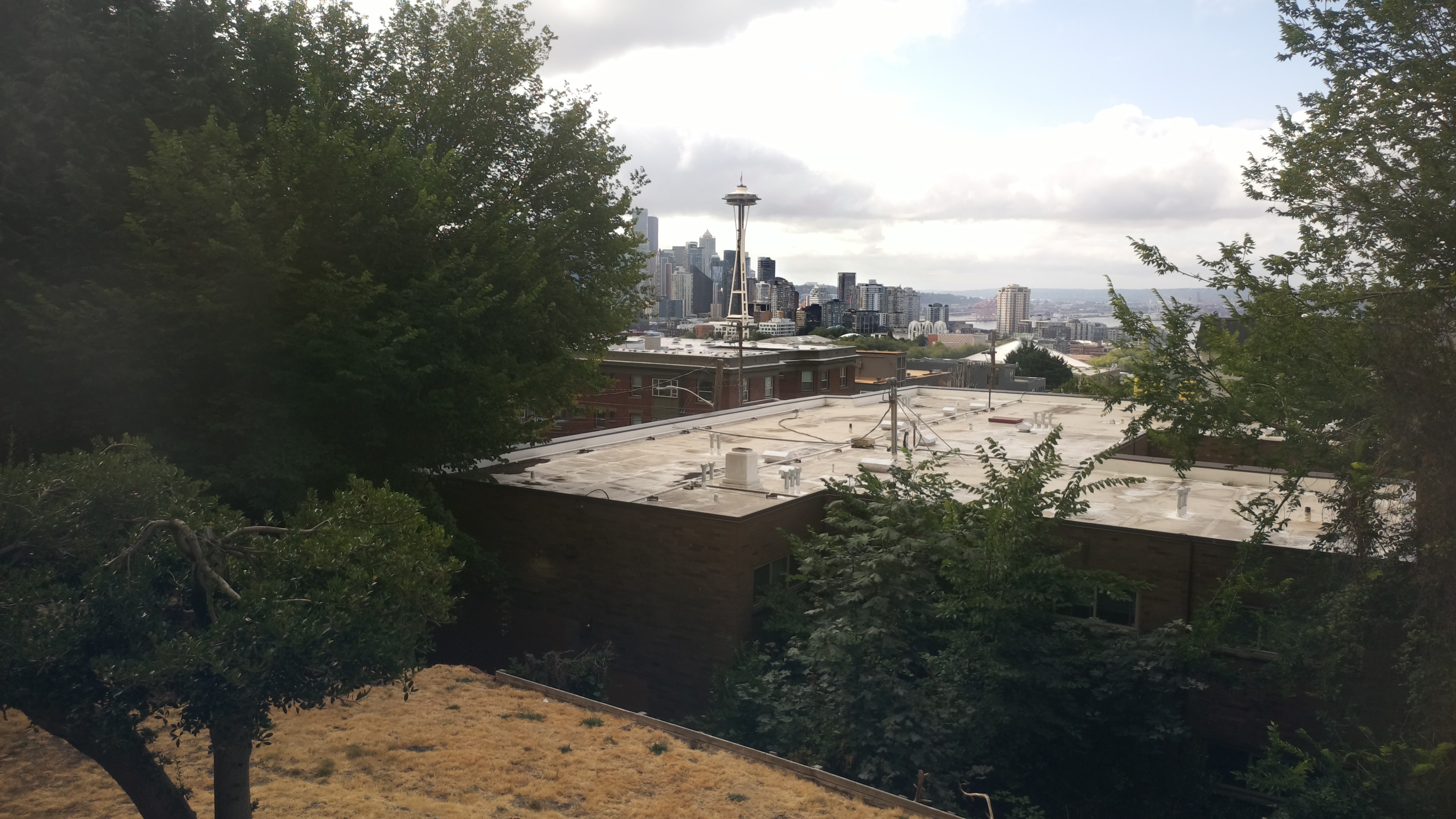 Mt. Rainier from Seattle — Sunday, August 2
