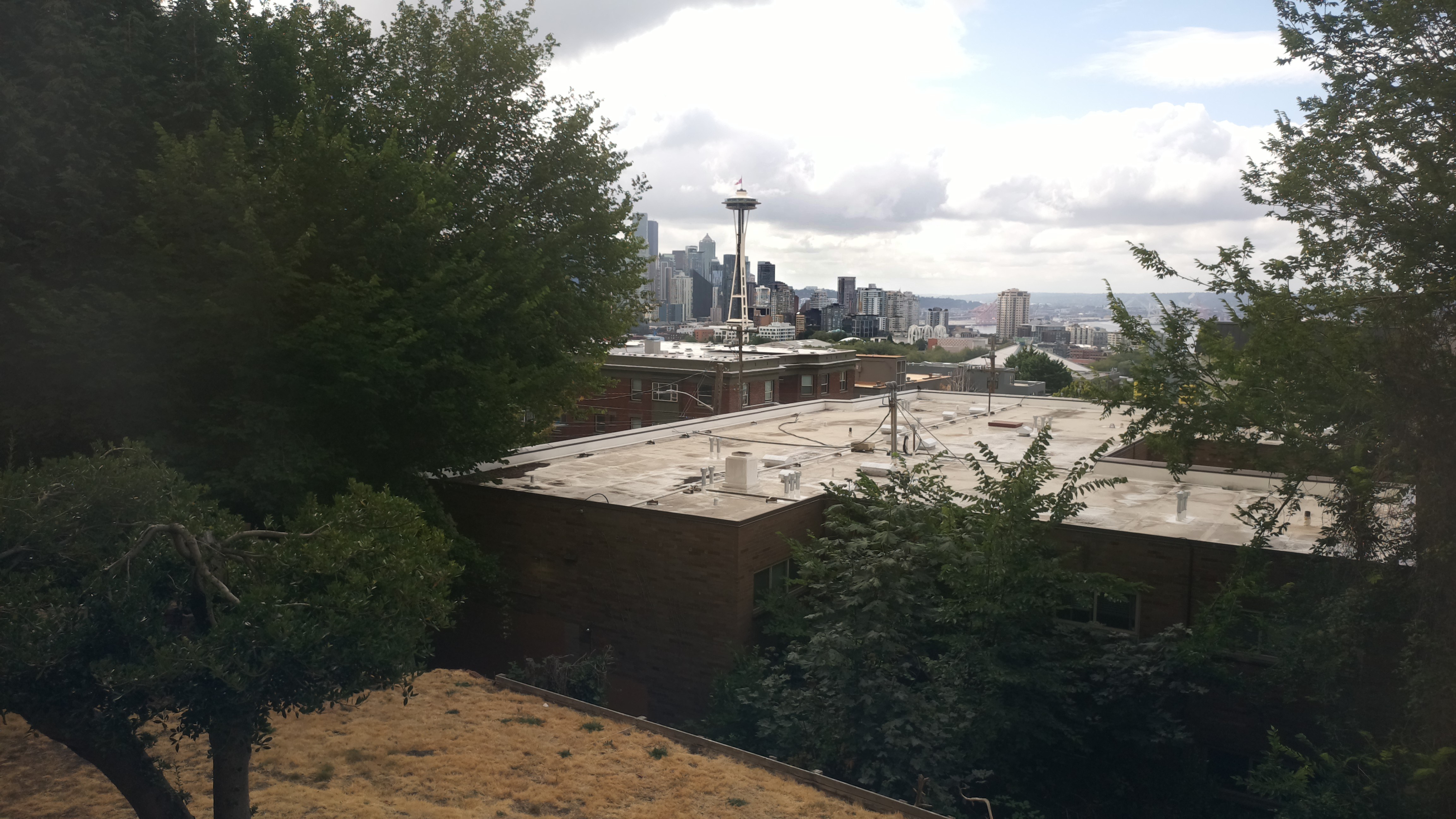 Mt. Rainier from Seattle — Sunday, August 2