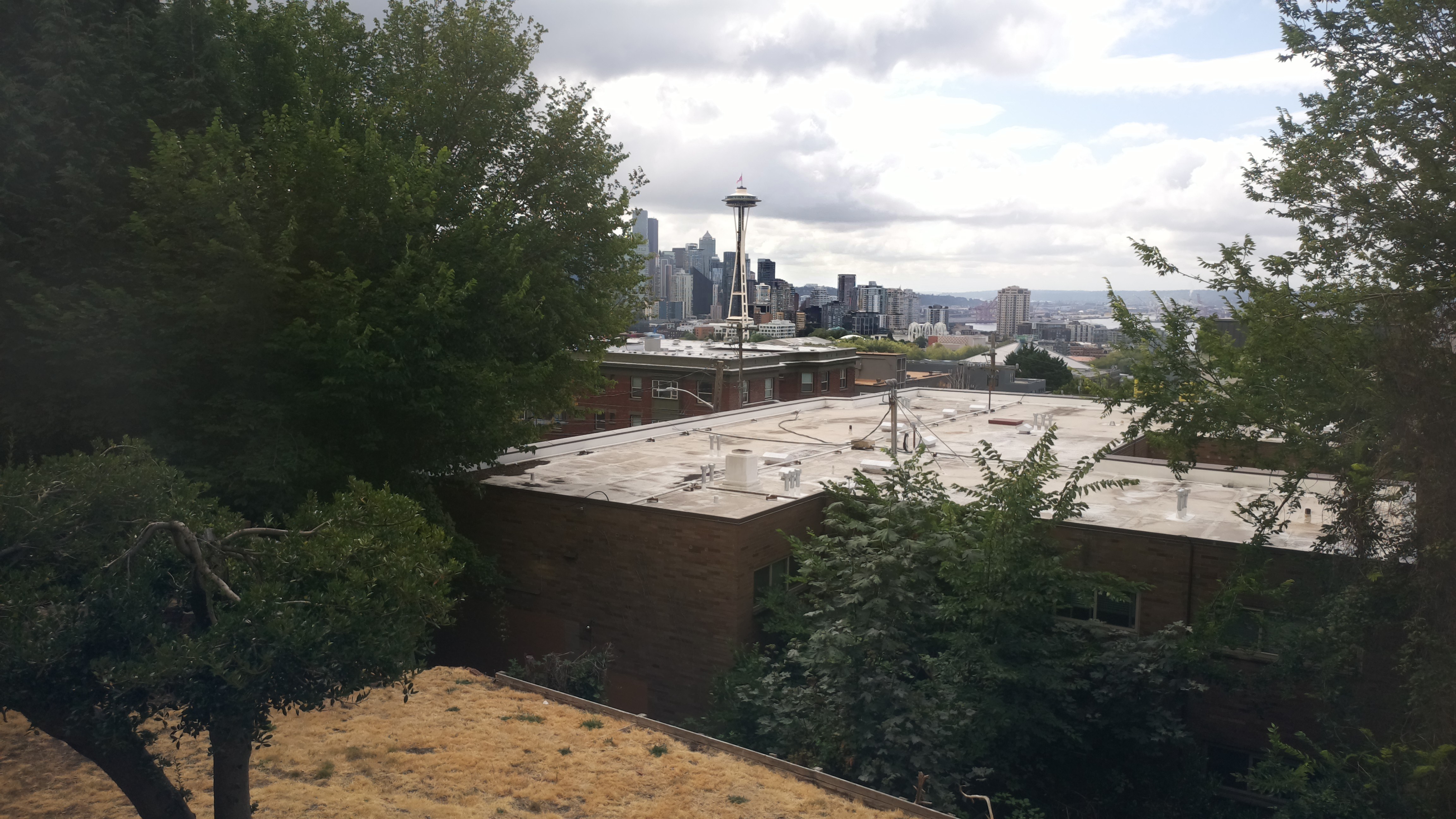 Mt. Rainier from Seattle — Sunday, August 2