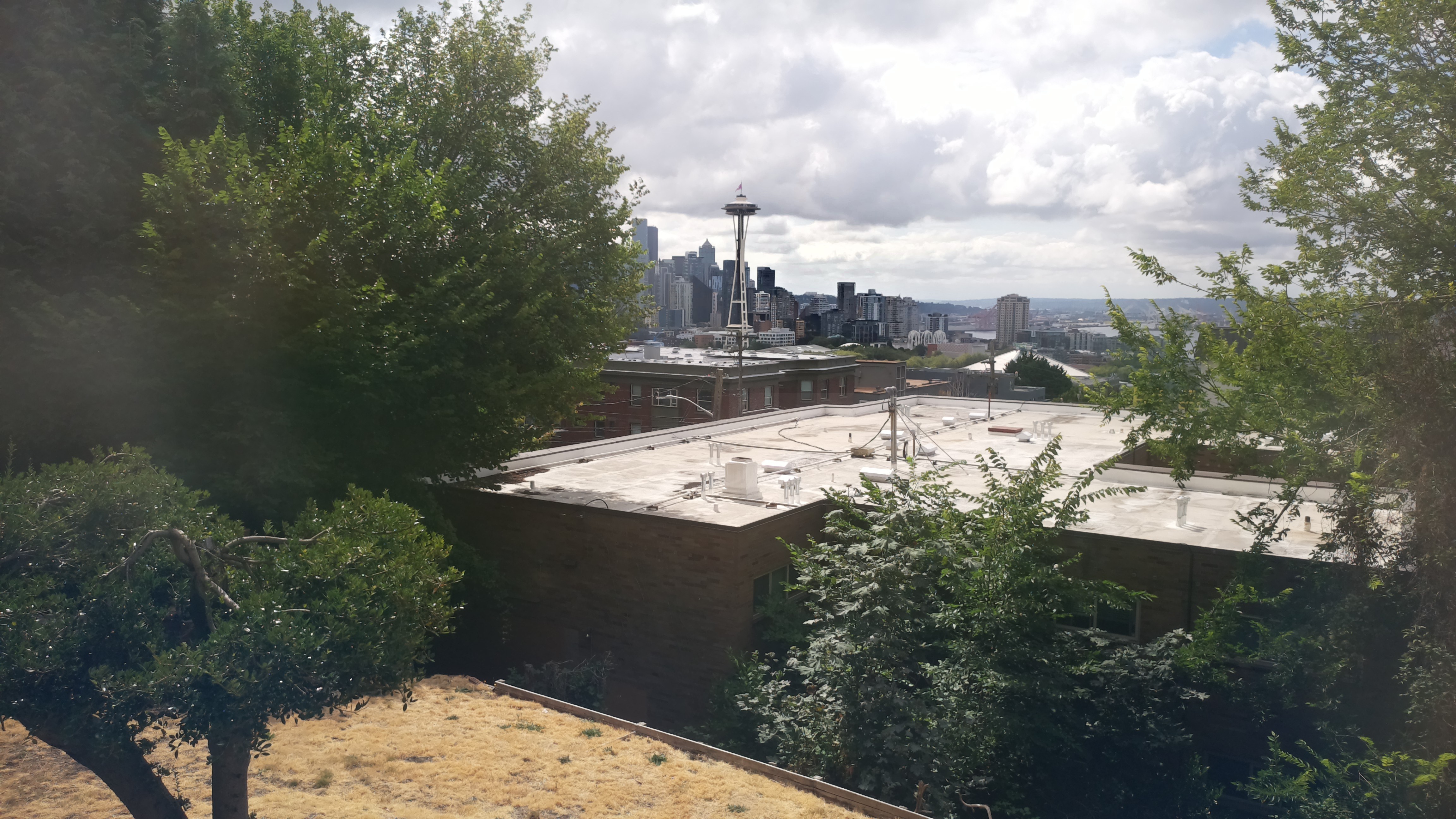 Mt. Rainier from Seattle — Sunday, August 2
