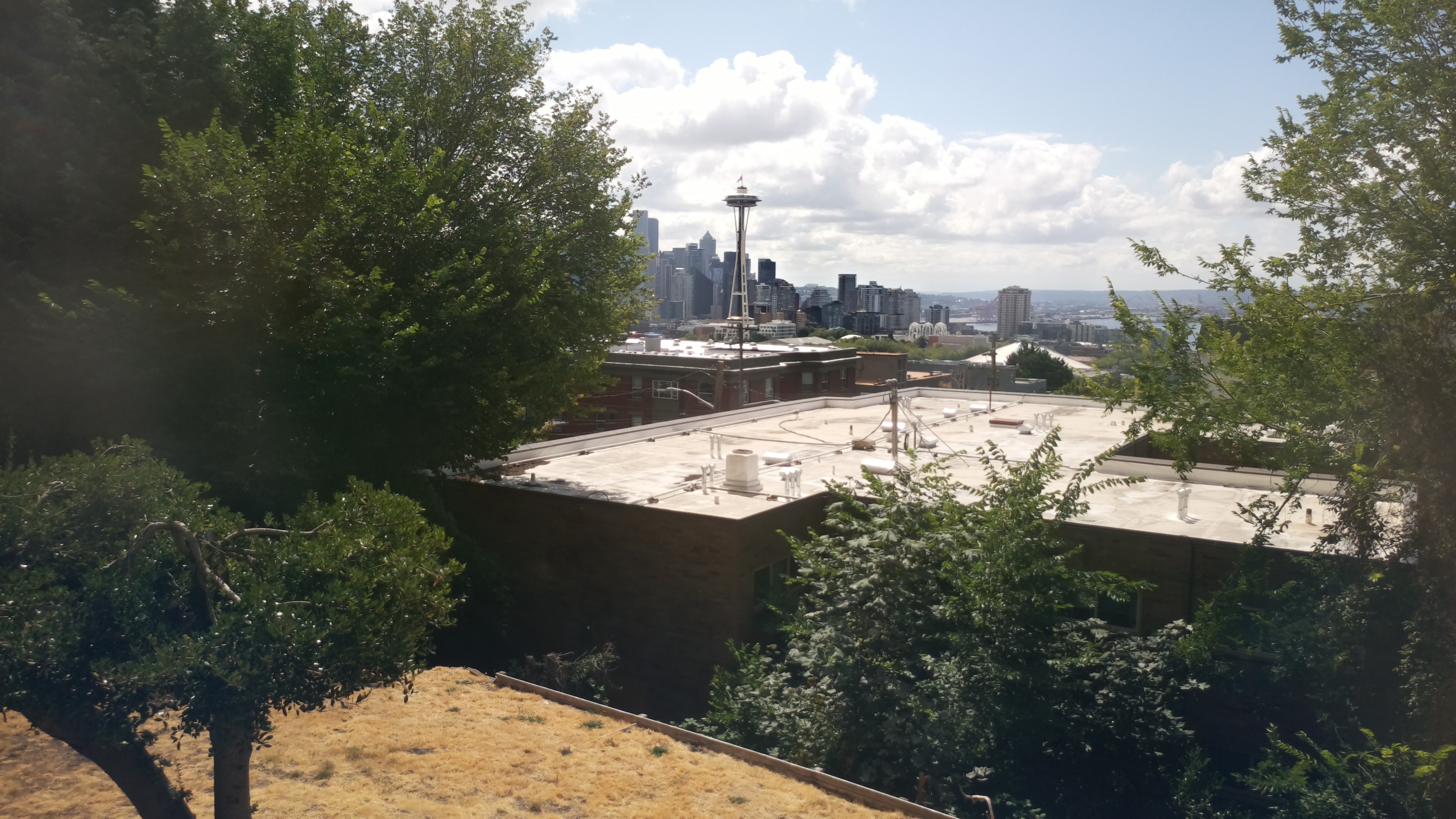 Mt. Rainier from Seattle — Sunday, August 2