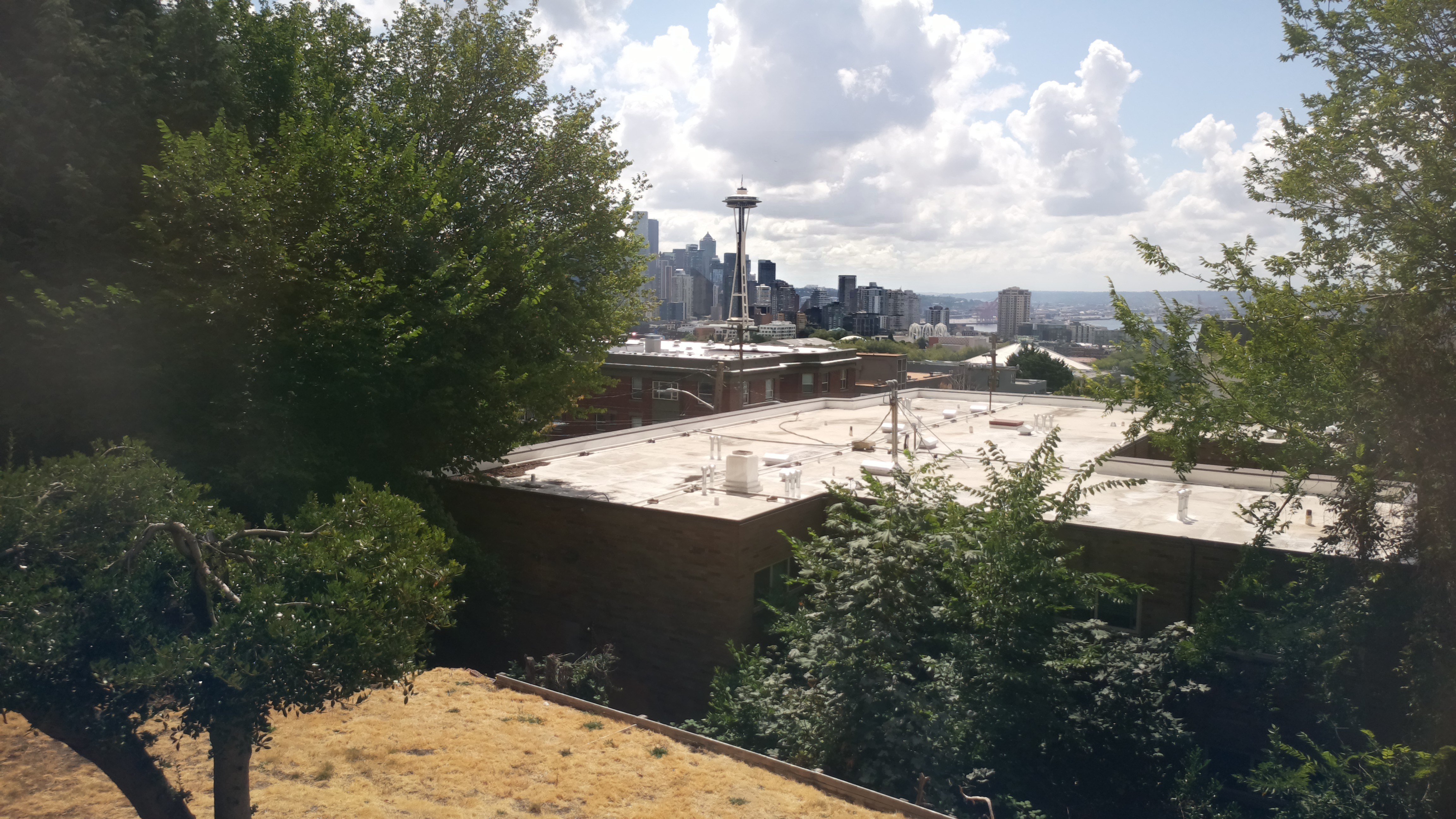 Mt. Rainier from Seattle — Sunday, August 2
