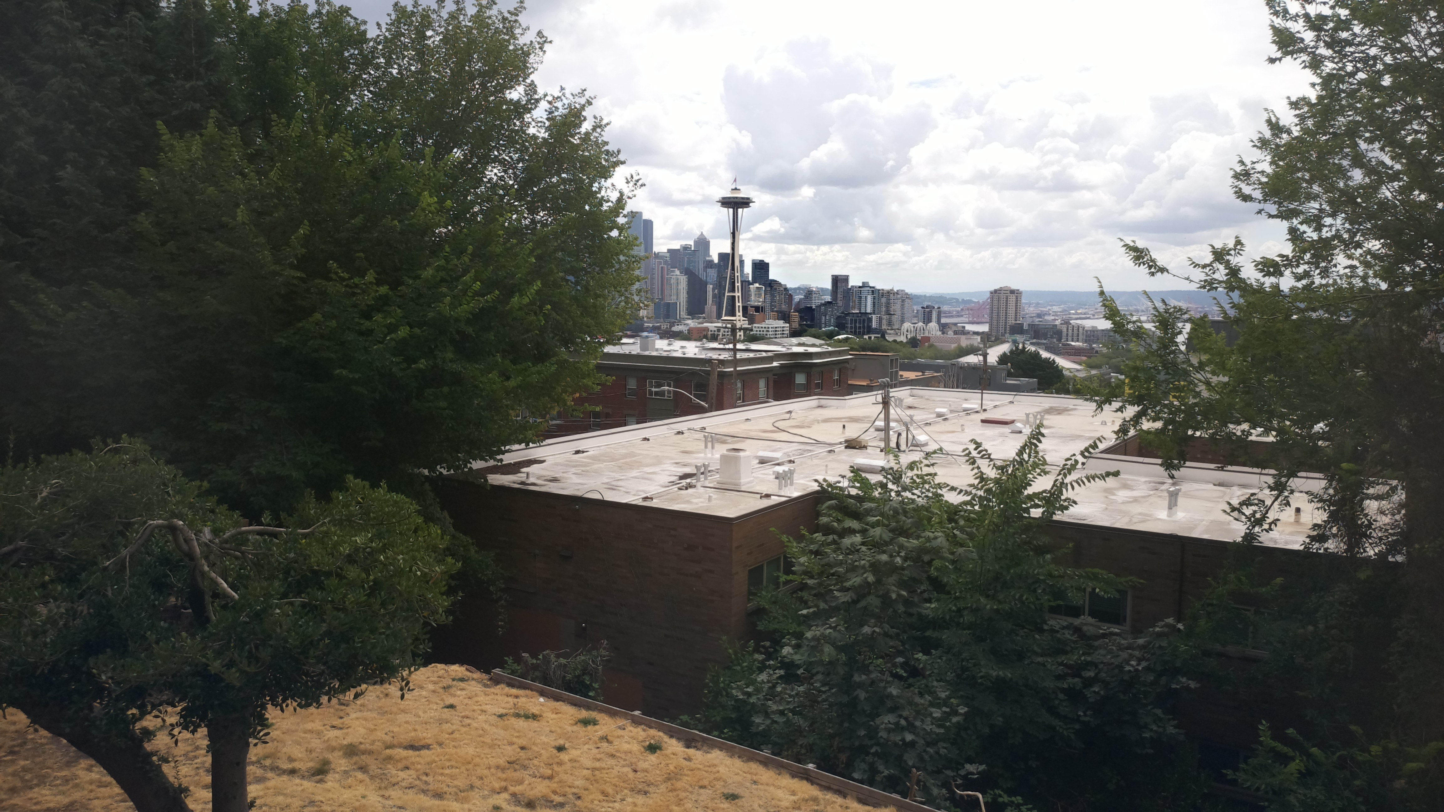 Mt. Rainier from Seattle — Sunday, August 2