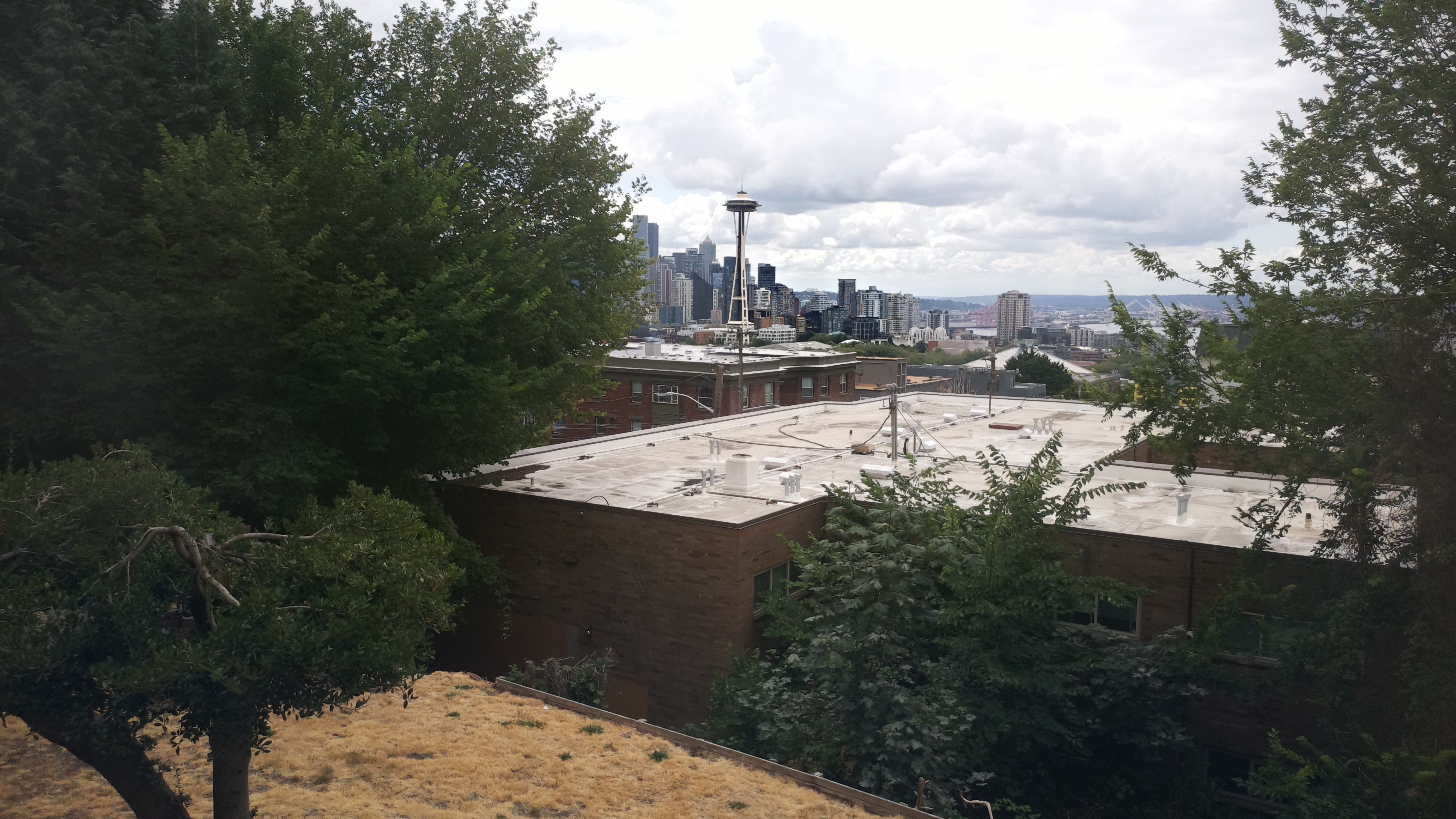 Mt. Rainier from Seattle — Sunday, August 2