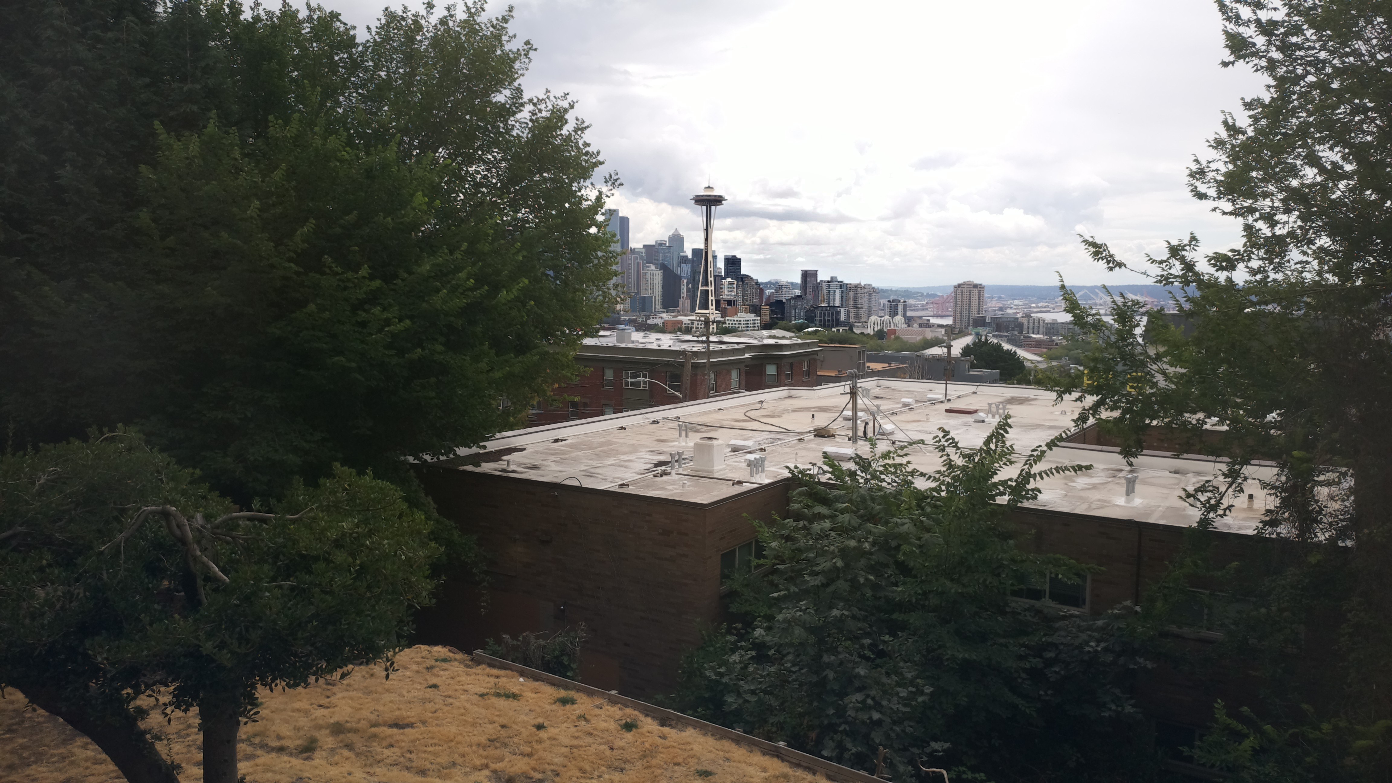 Mt. Rainier from Seattle — Sunday, August 2