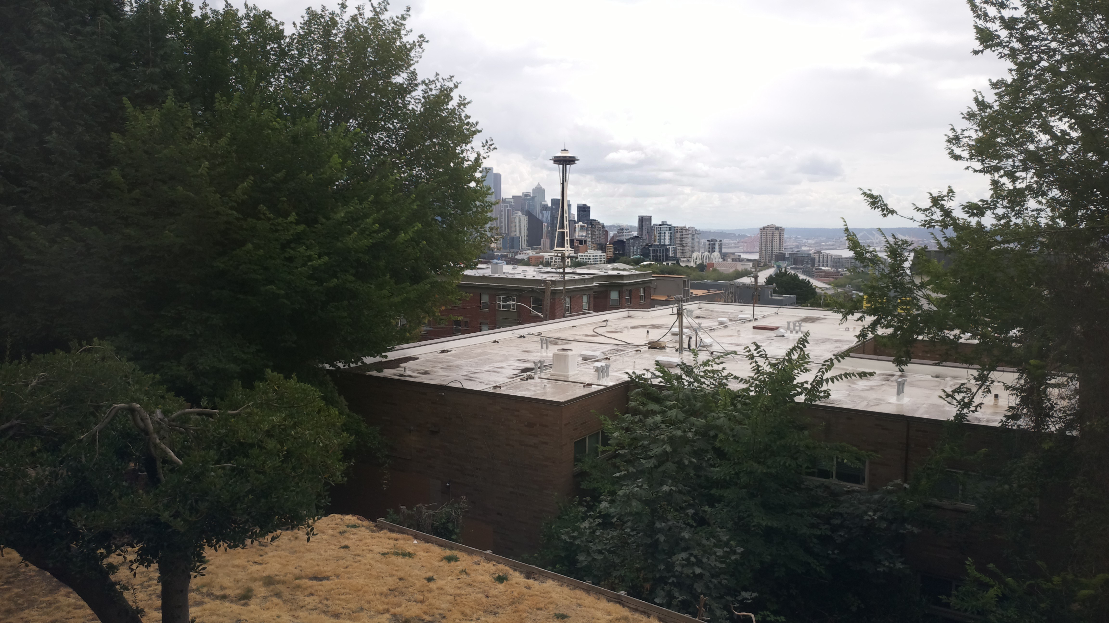Mt. Rainier from Seattle — Sunday, August 2