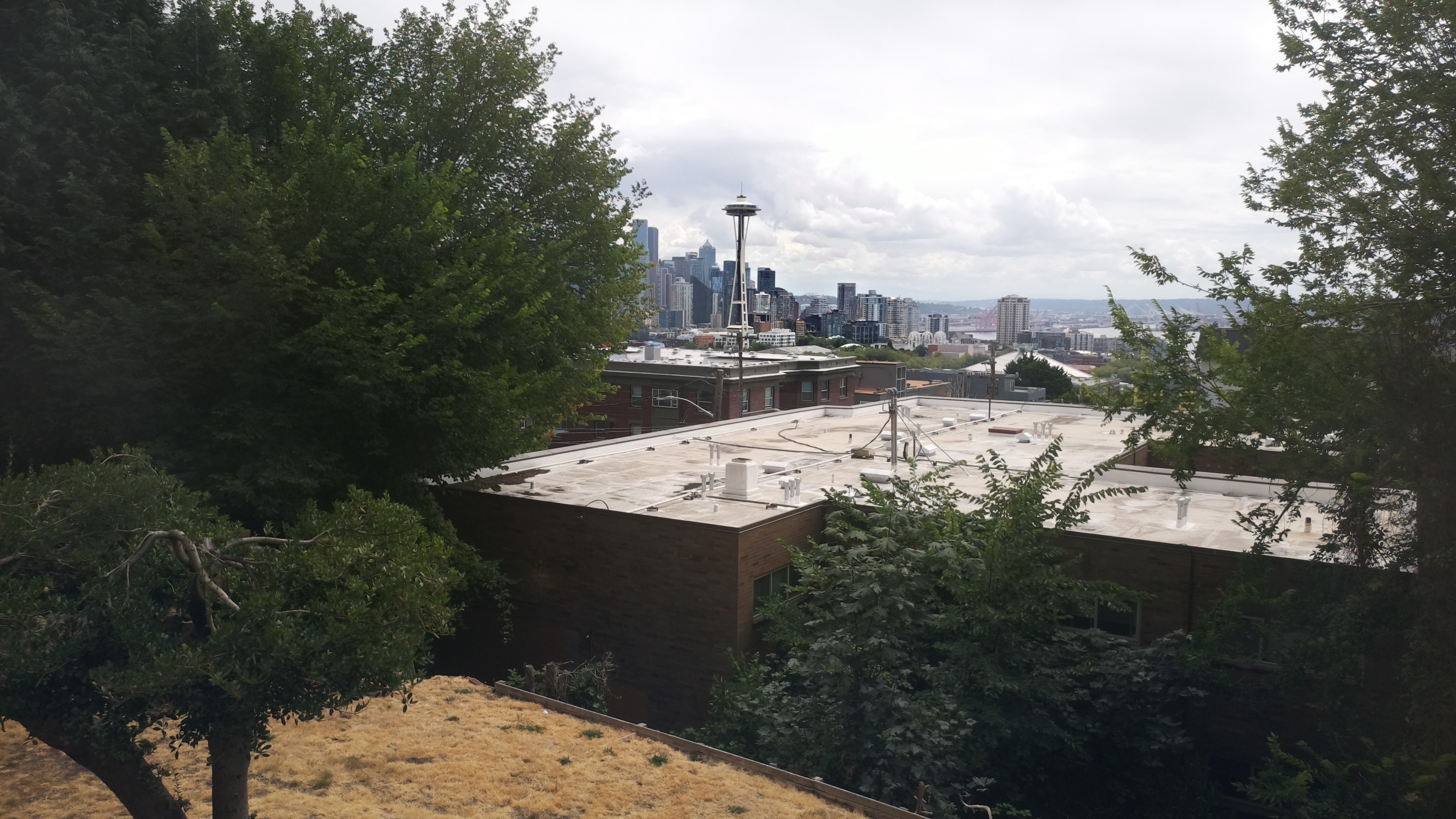 Mt. Rainier from Seattle — Sunday, August 2
