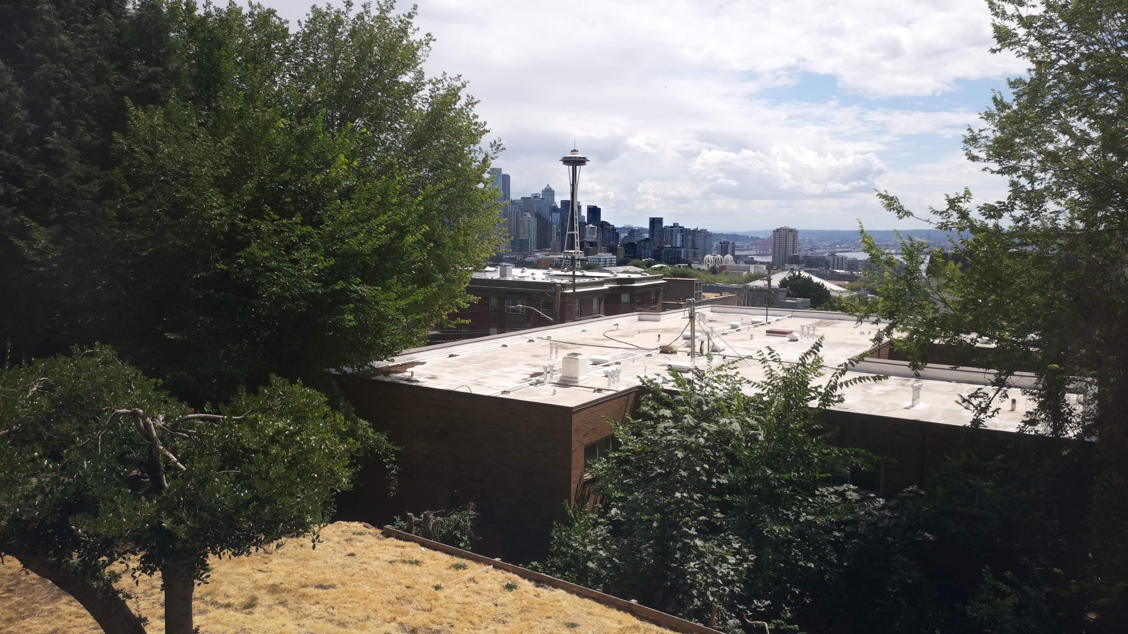 Mt. Rainier from Seattle — Sunday, August 2