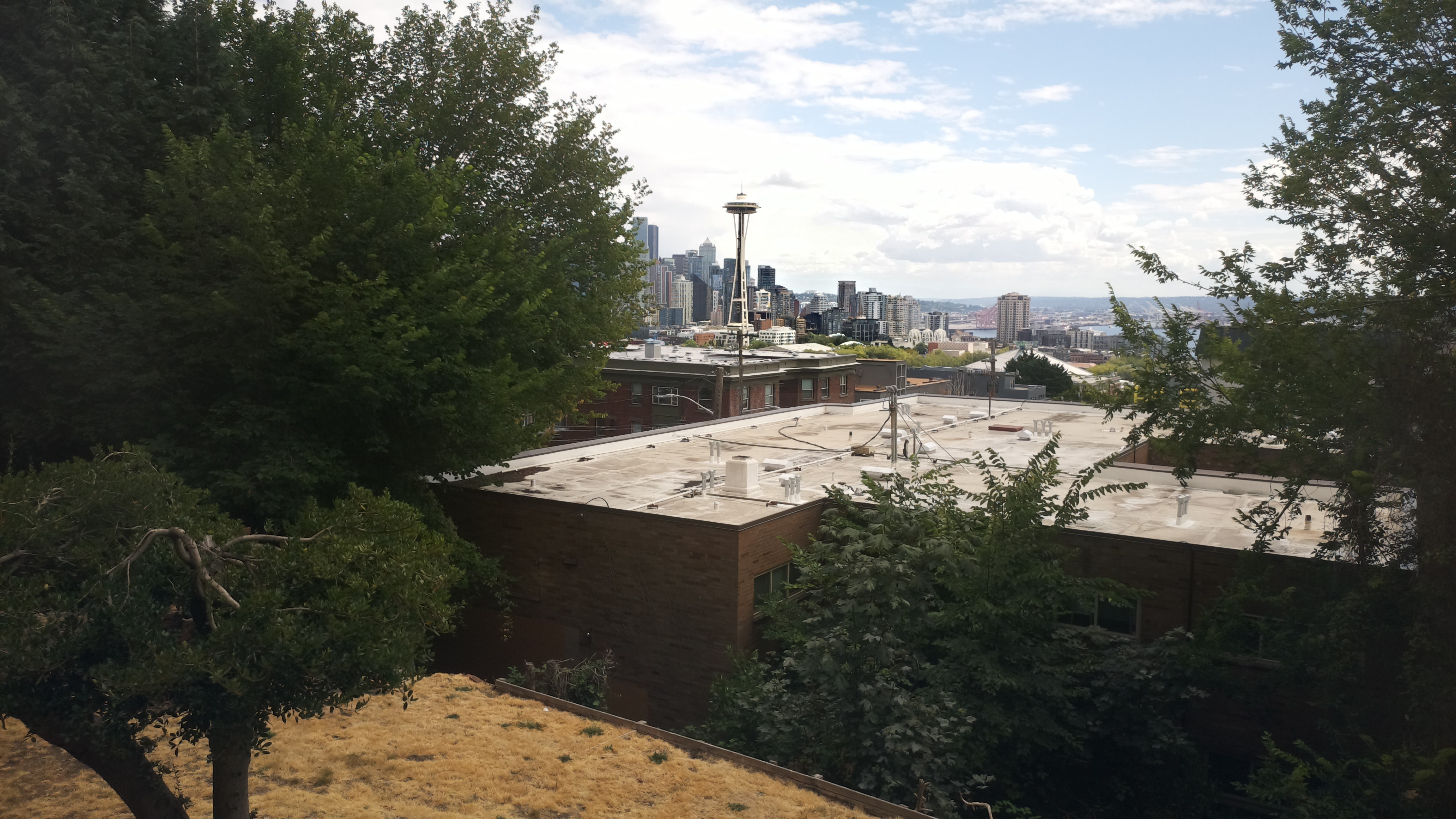 Mt. Rainier from Seattle — Sunday, August 2