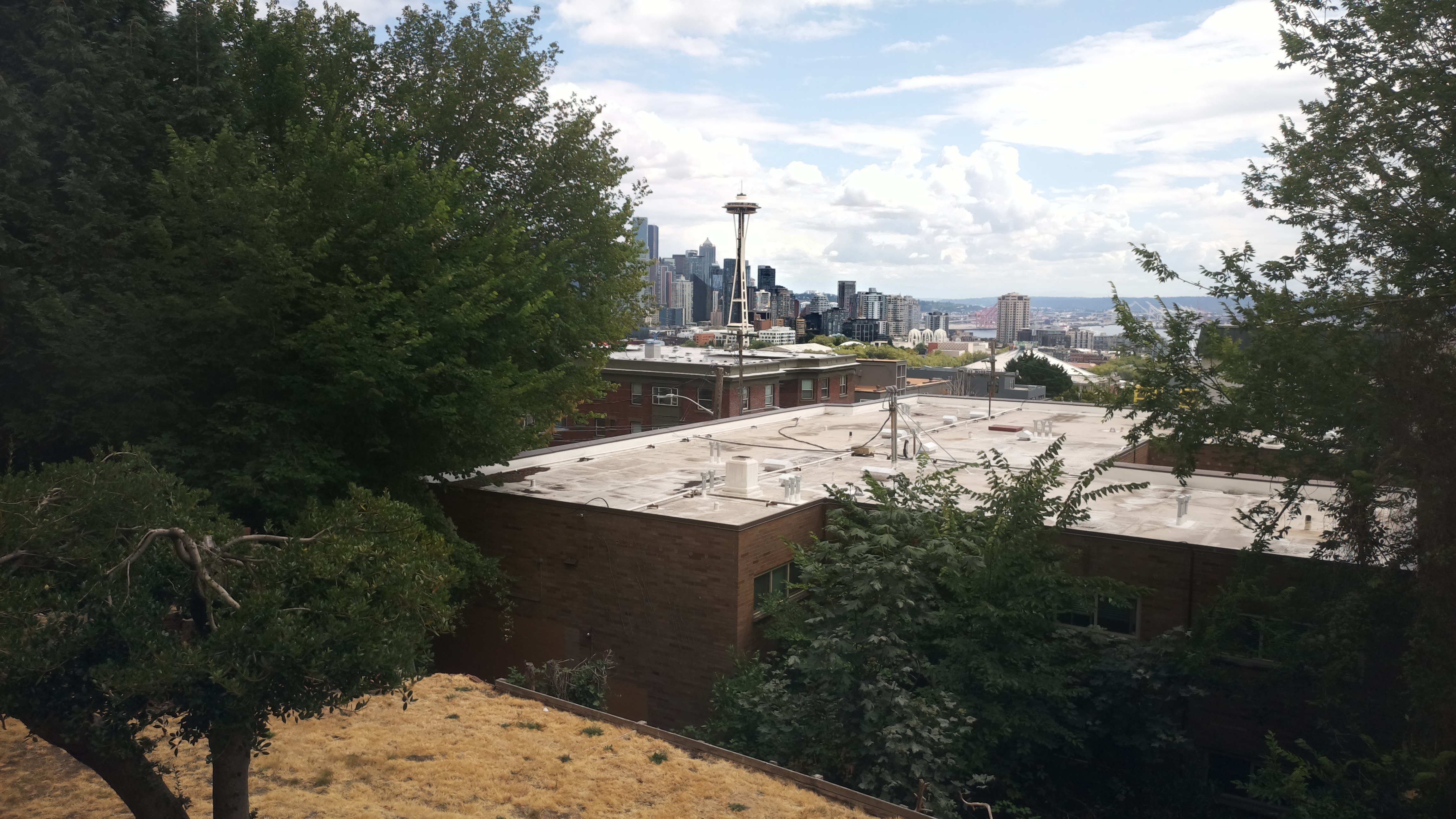 Mt. Rainier from Seattle — Sunday, August 2