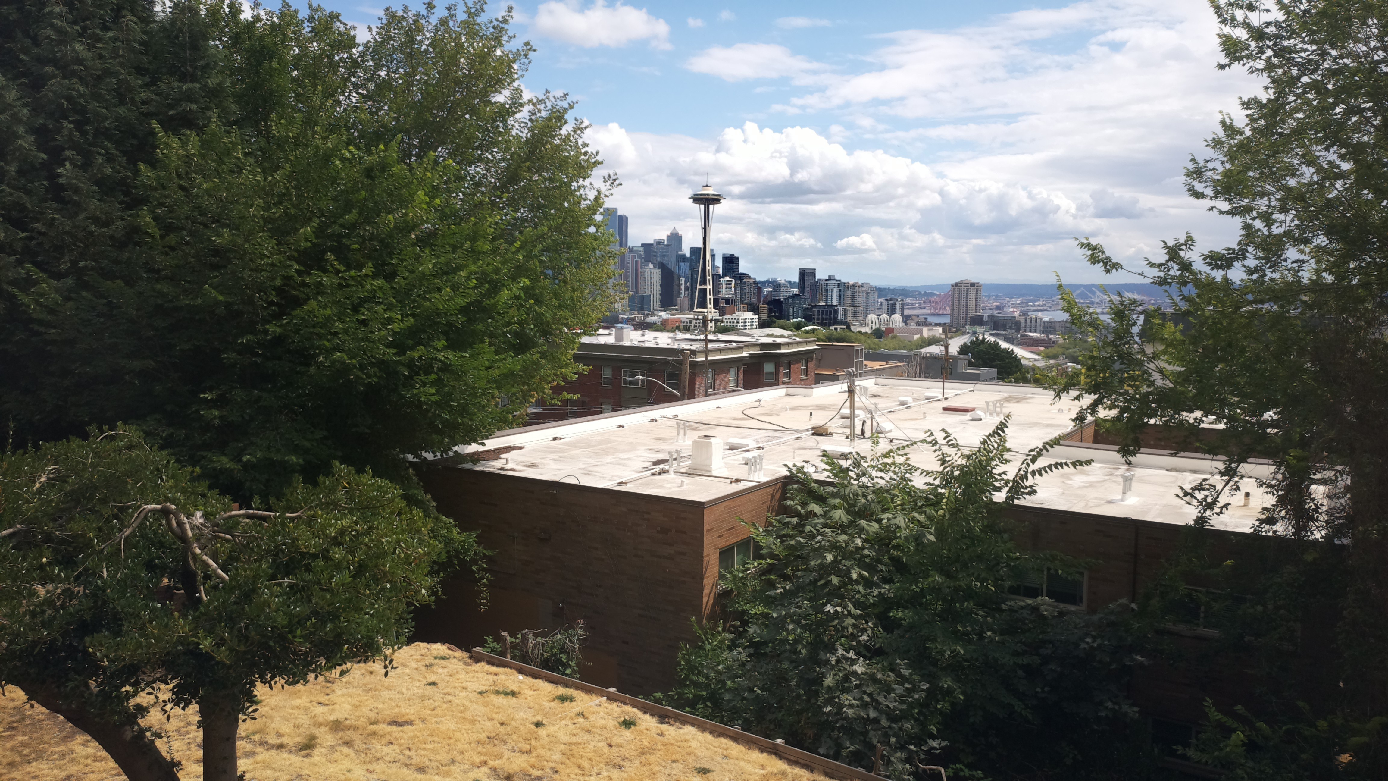 Mt. Rainier from Seattle — Sunday, August 2