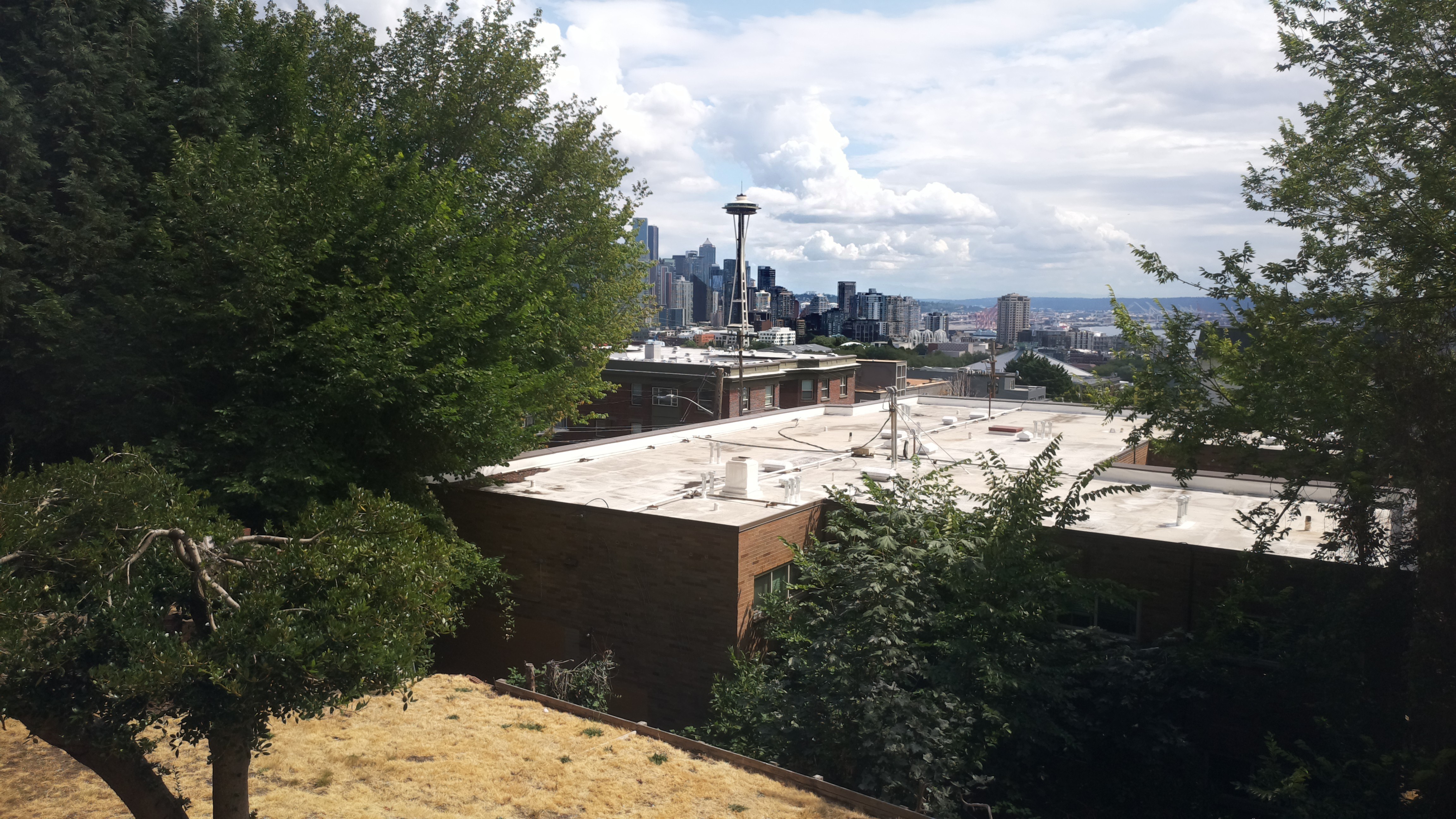 Mt. Rainier from Seattle — Sunday, August 2