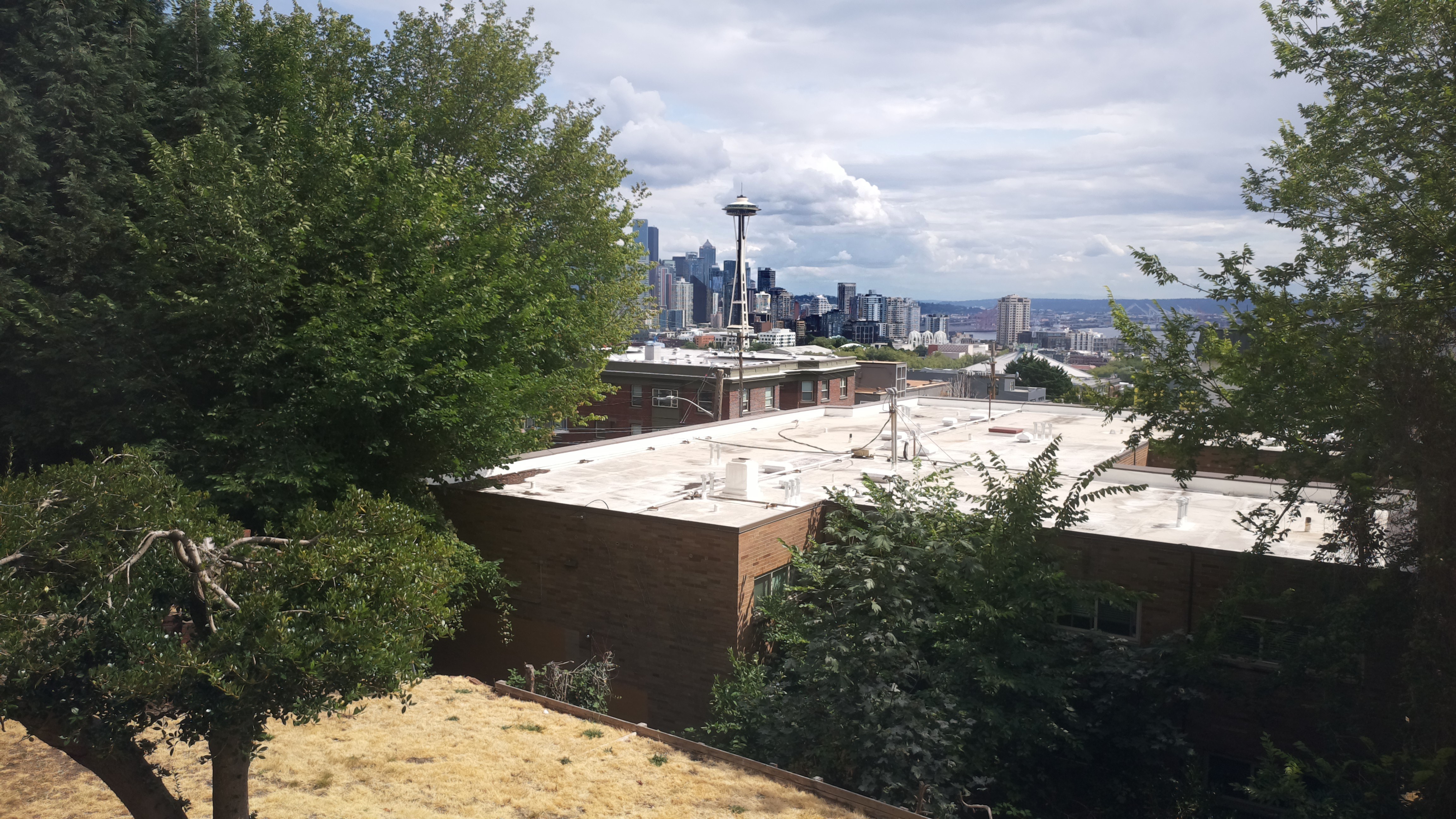 Mt. Rainier from Seattle — Sunday, August 2