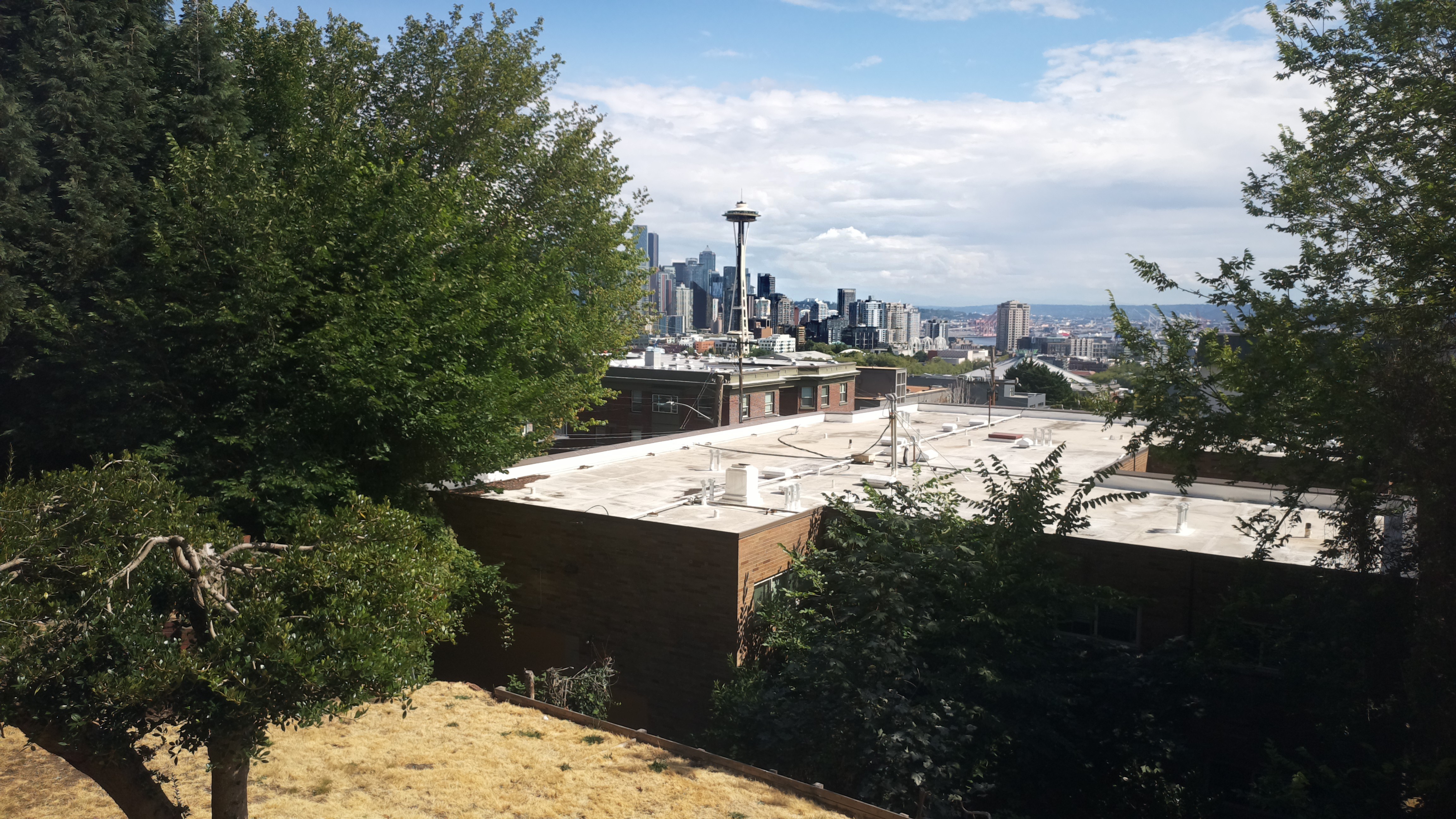 Mt. Rainier from Seattle — Sunday, August 2