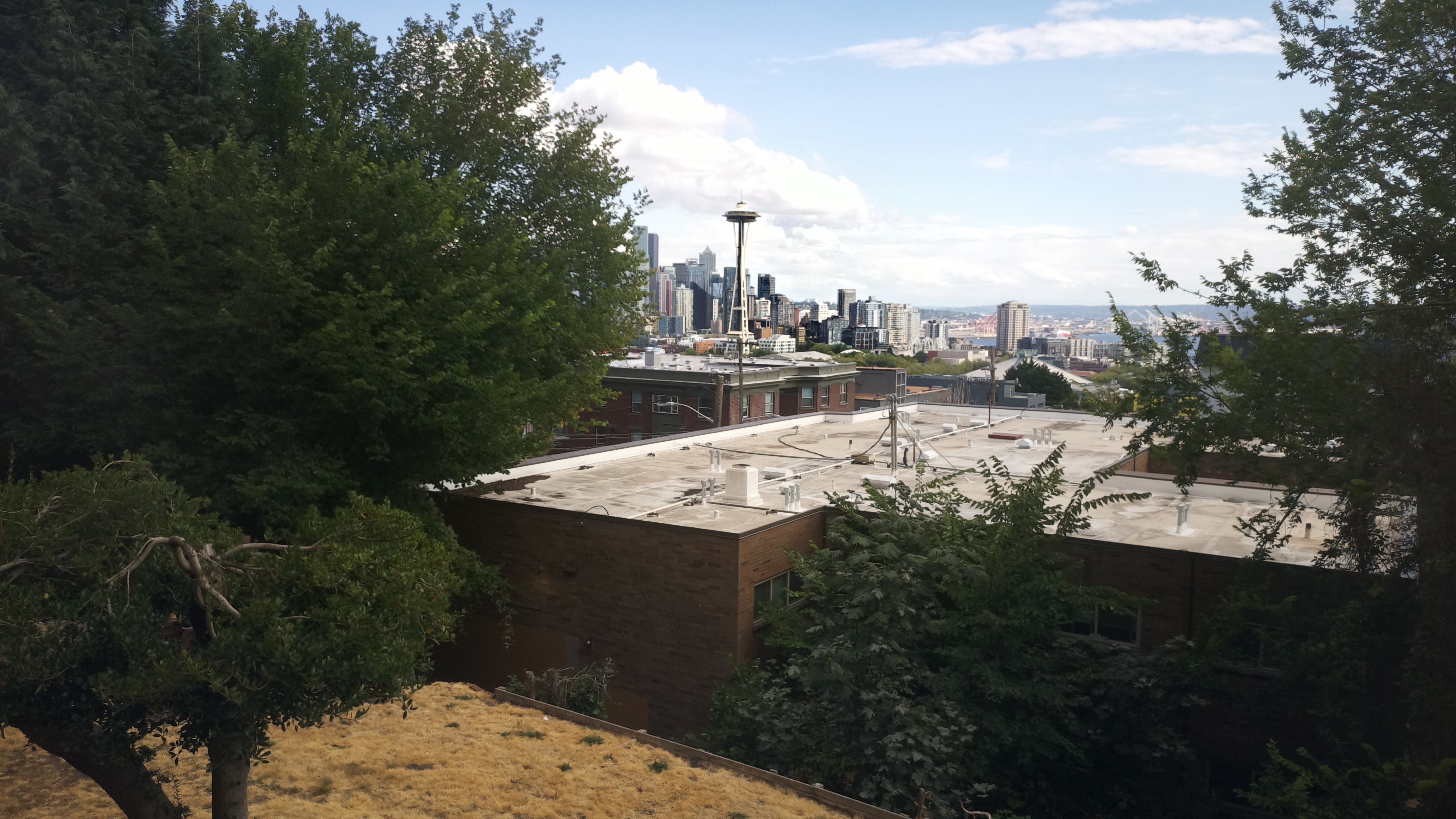Mt. Rainier from Seattle — Sunday, August 2