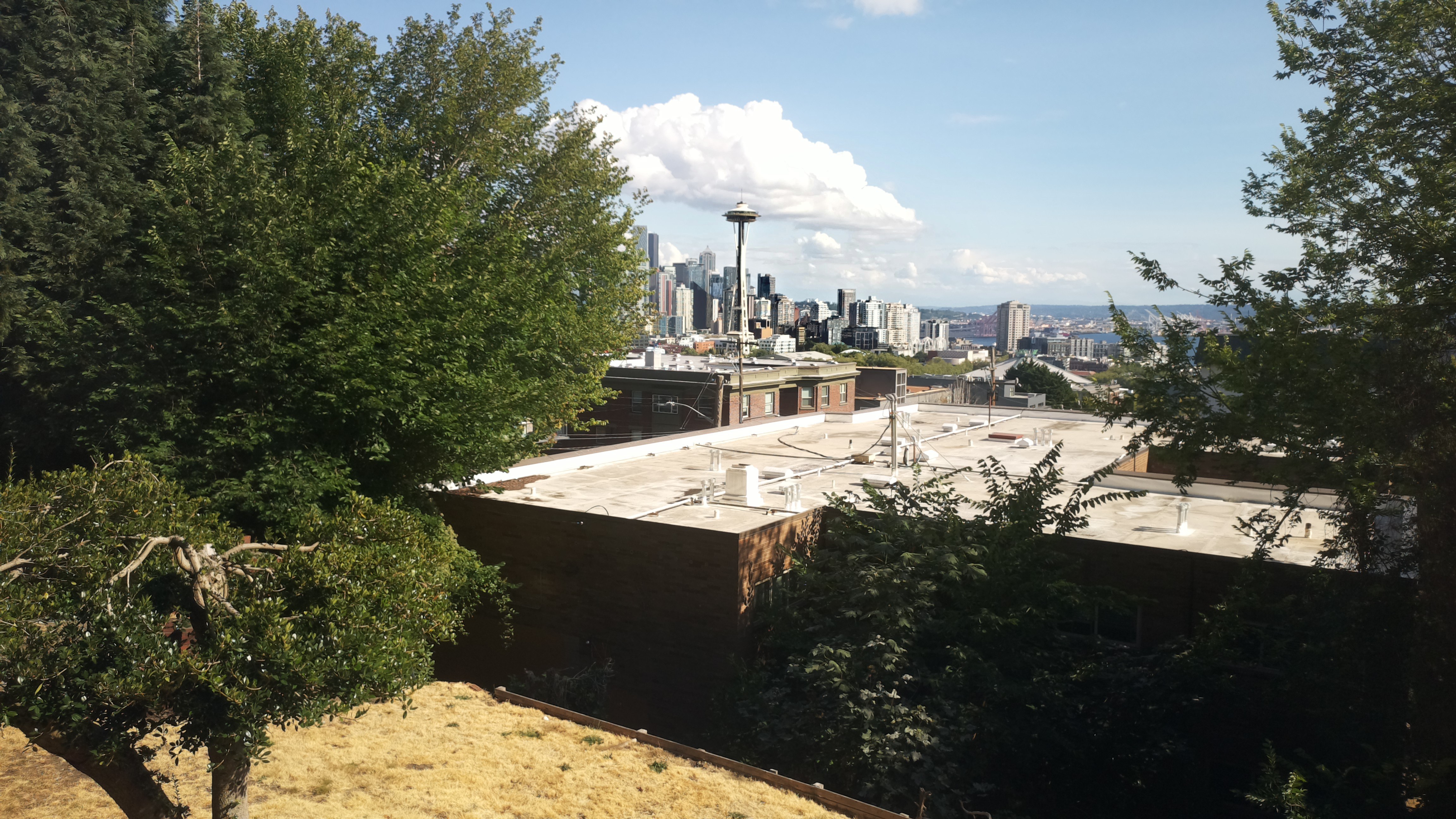Mt. Rainier from Seattle — Sunday, August 2