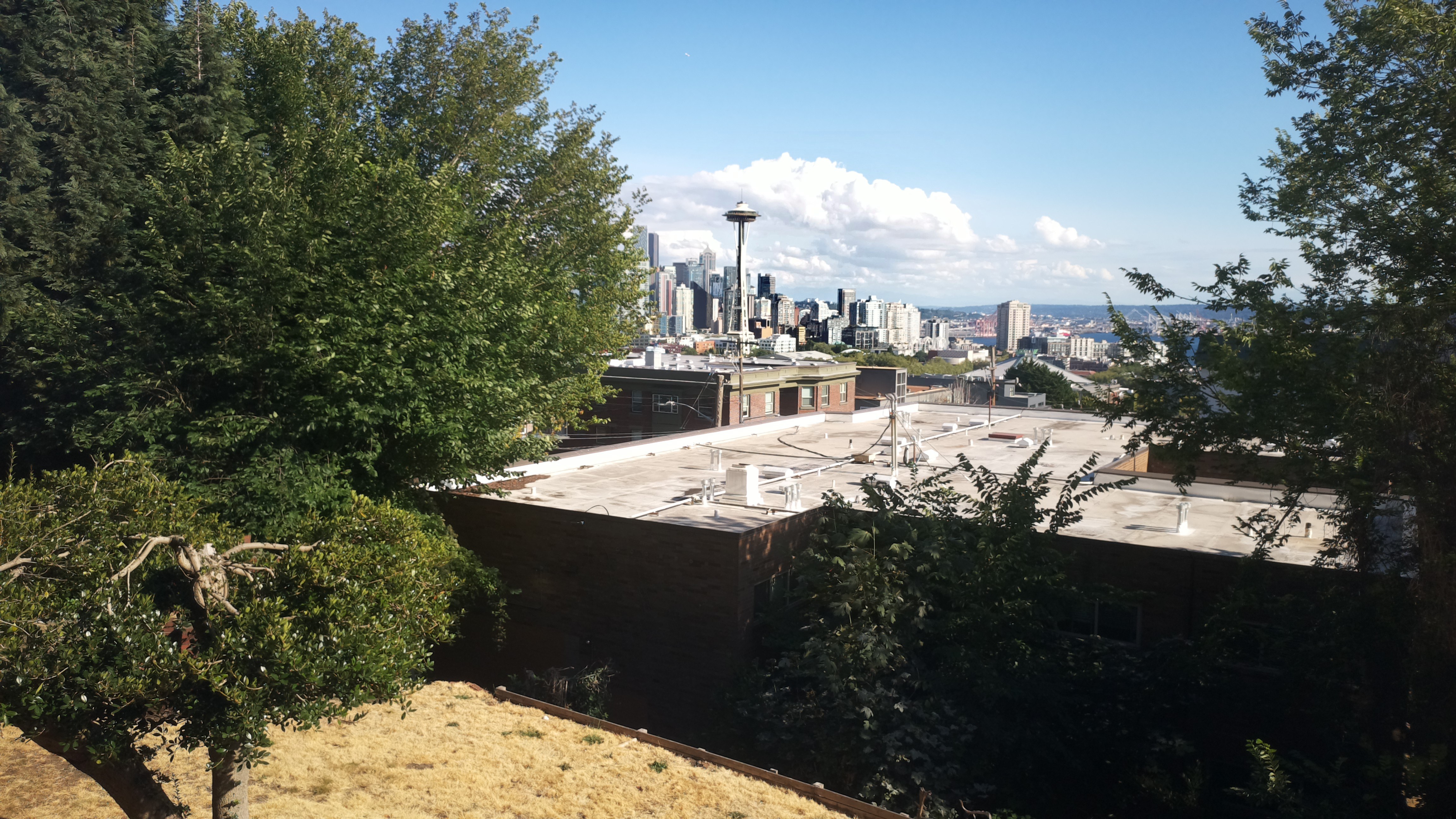 Mt. Rainier from Seattle — Sunday, August 2