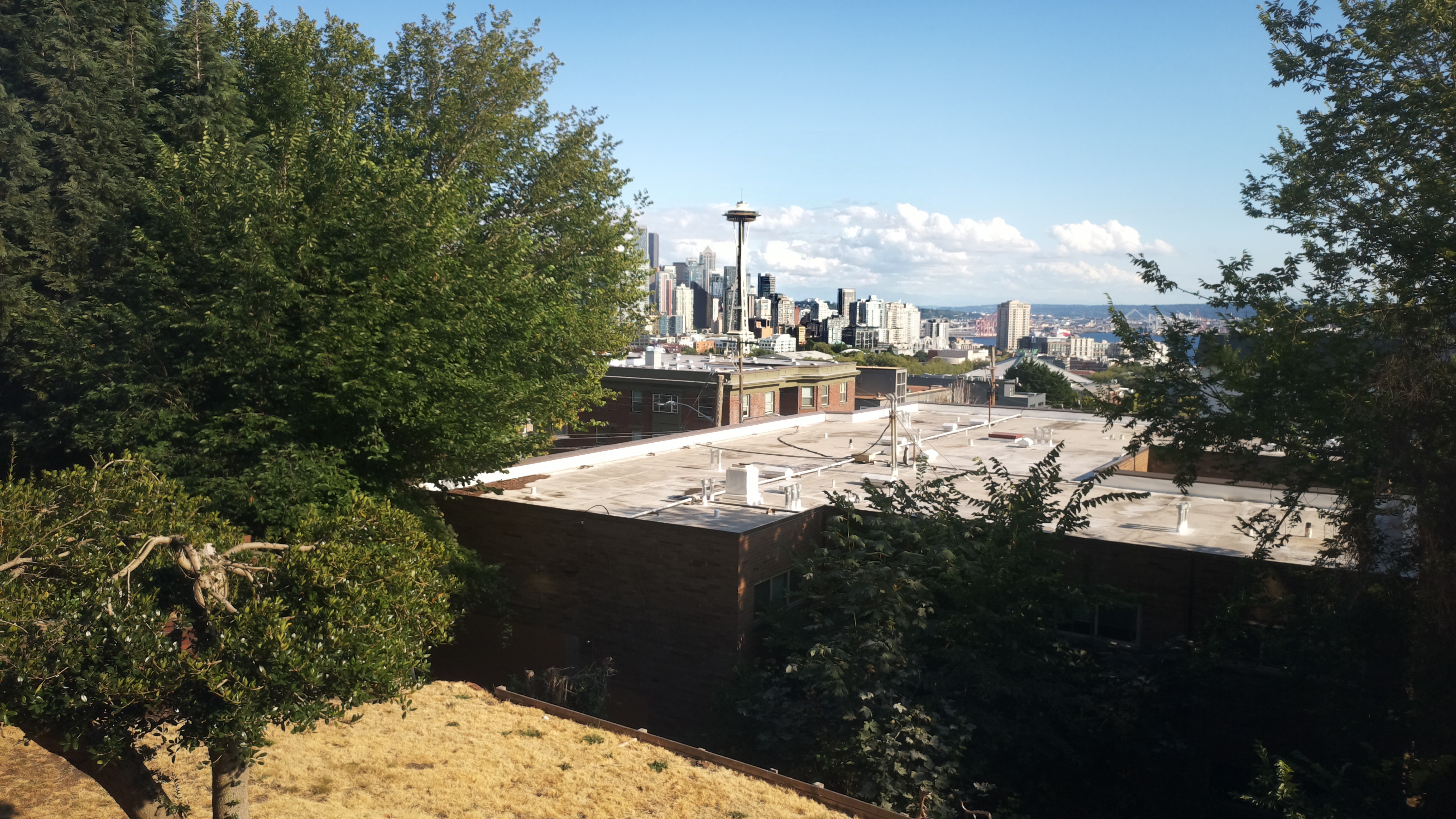 Mt. Rainier from Seattle — Sunday, August 2
