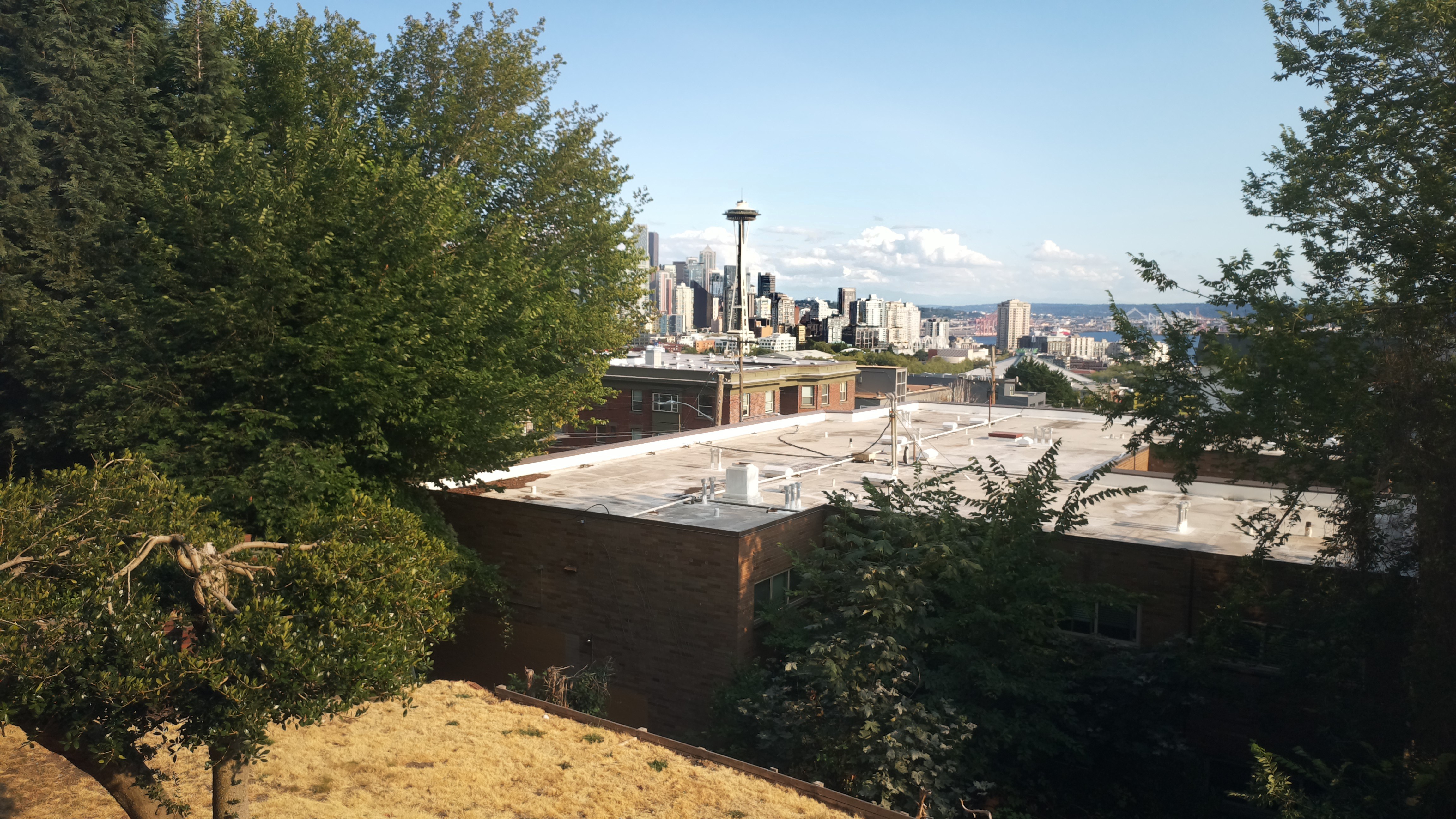 Mt. Rainier from Seattle — Sunday, August 2