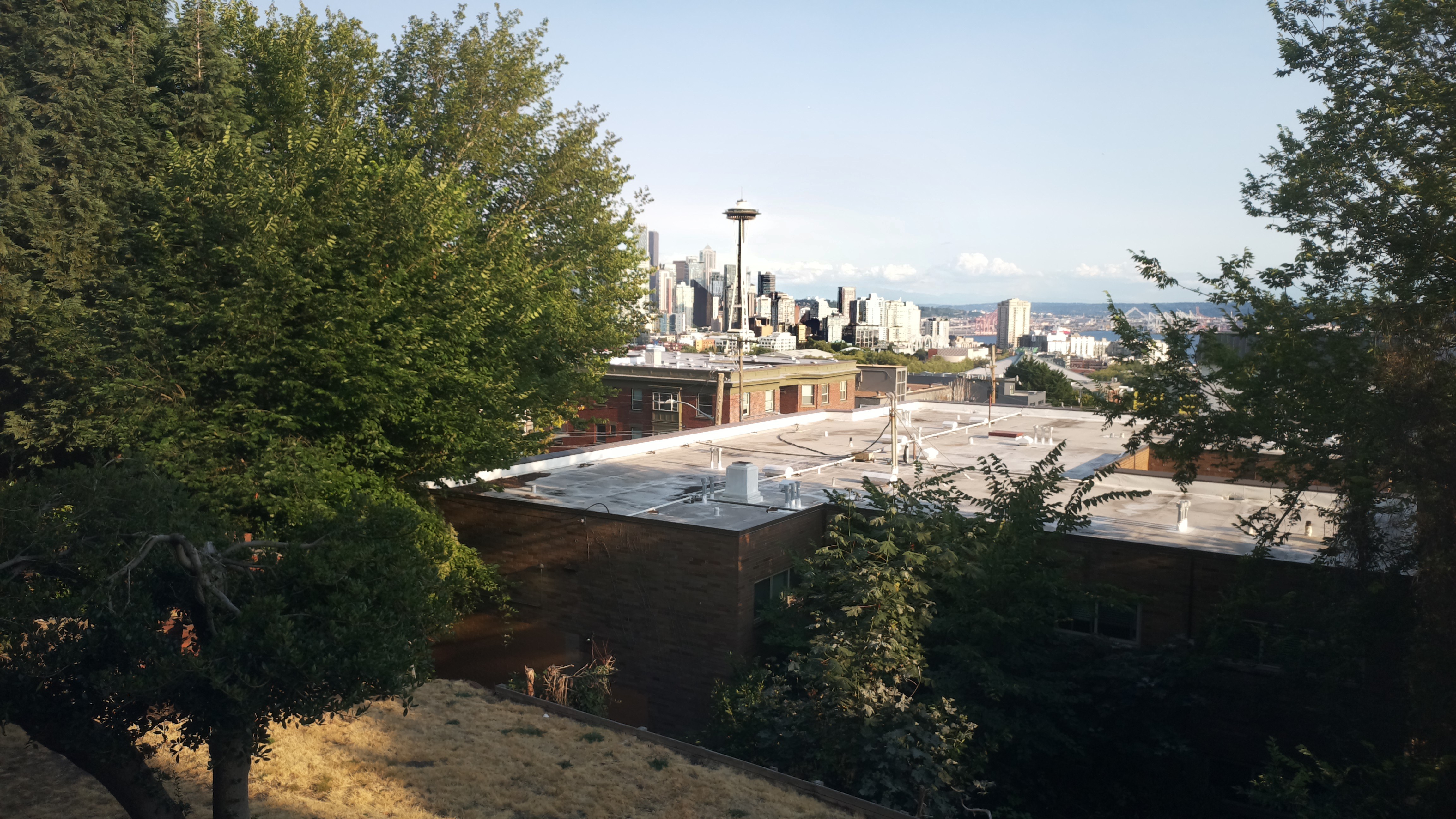 Mt. Rainier from Seattle — Sunday, August 2