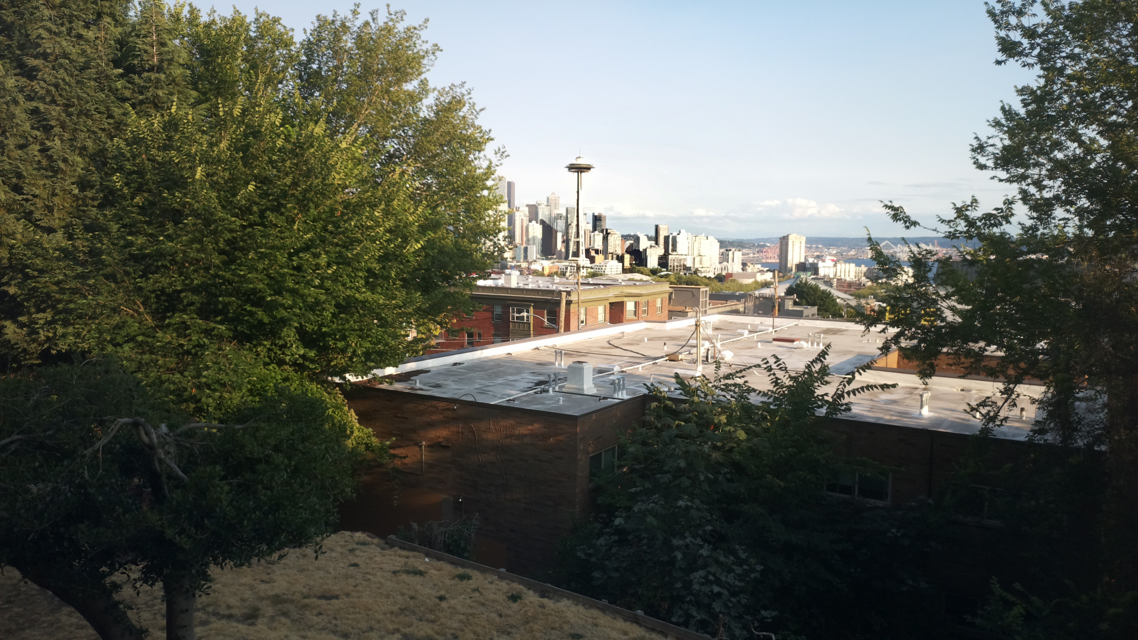 Mt. Rainier from Seattle — Sunday, August 2