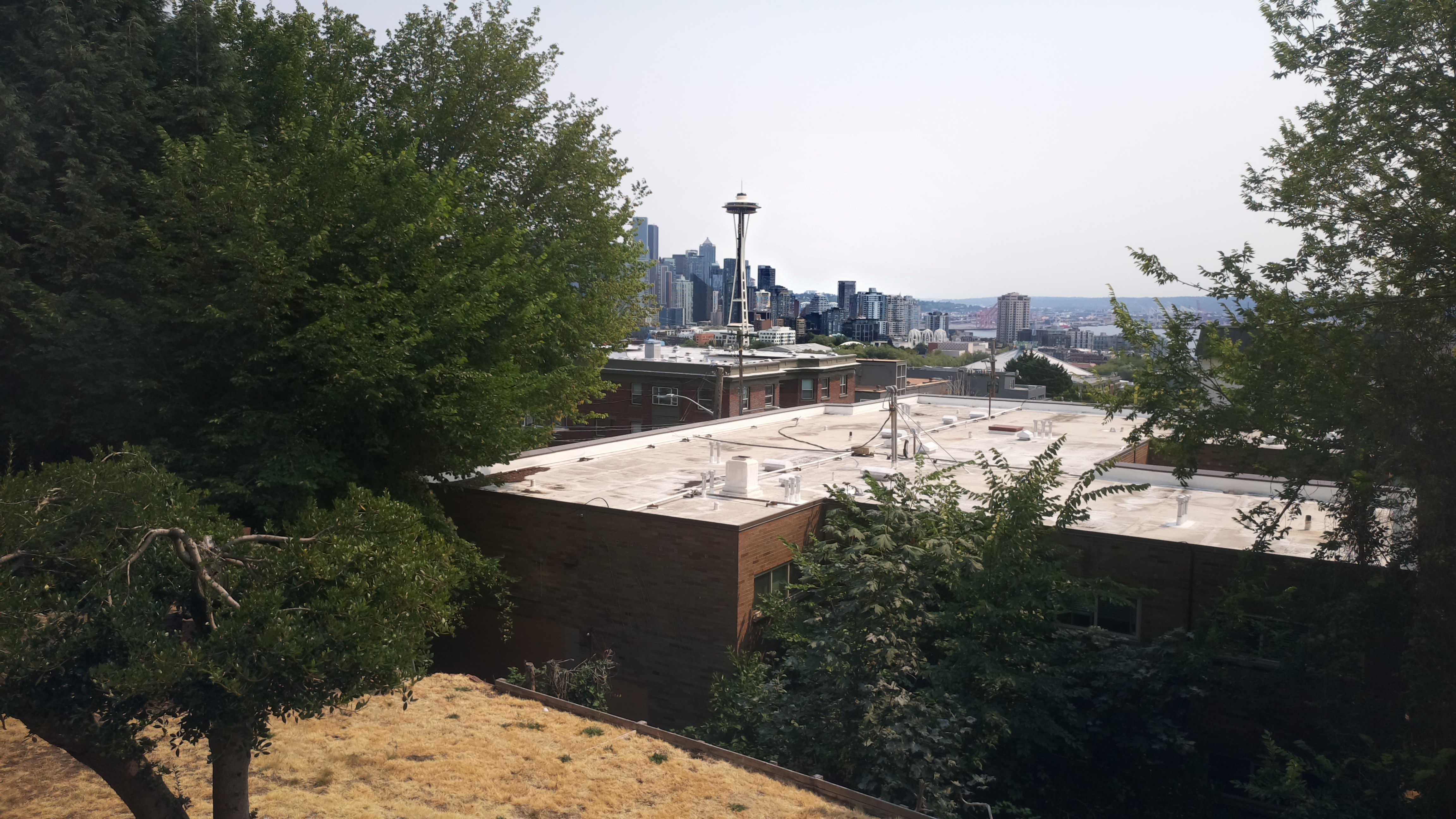 Mt. Rainier from Seattle — Monday, August 3
