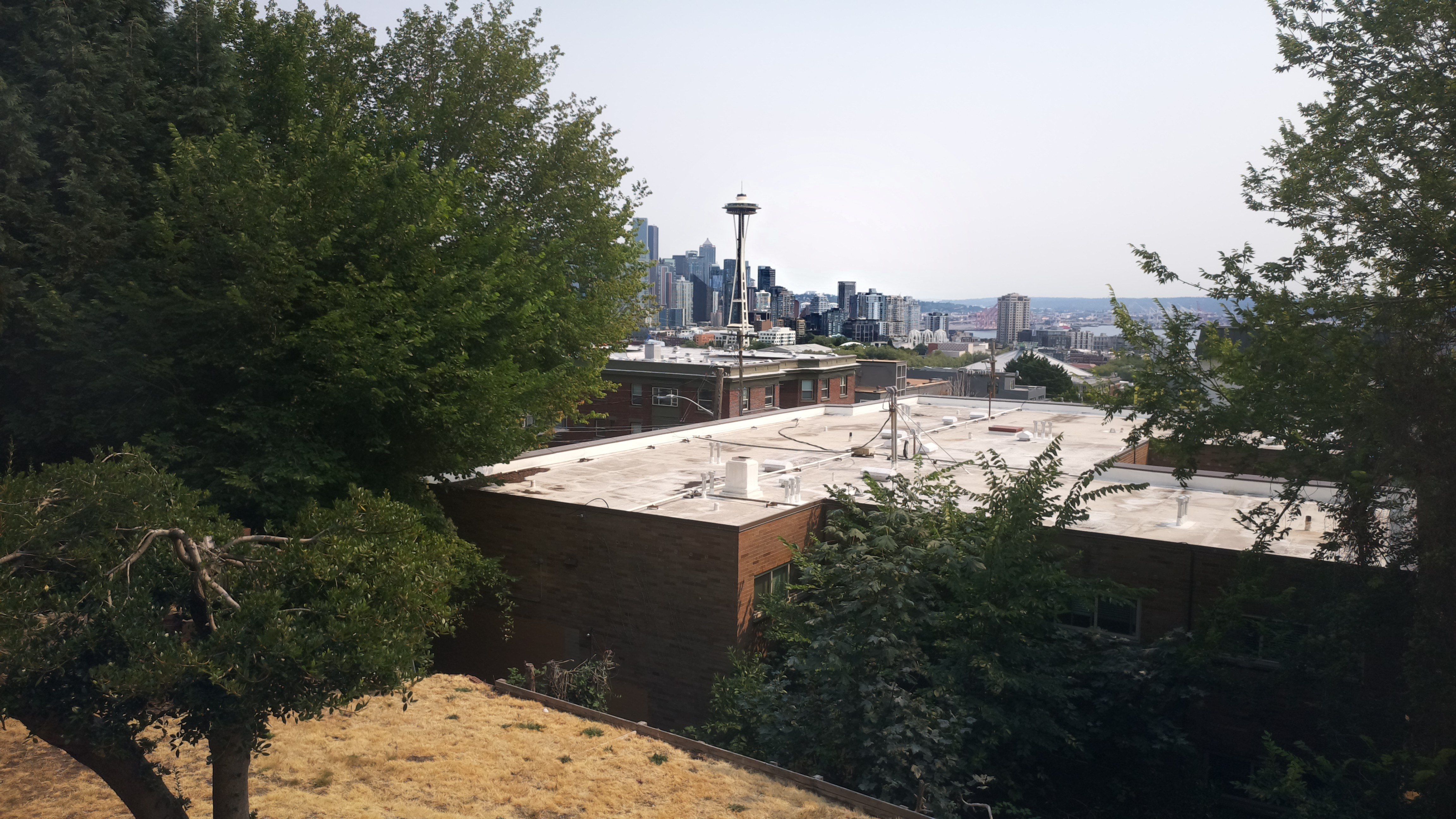 Mt. Rainier from Seattle — Monday, August 3
