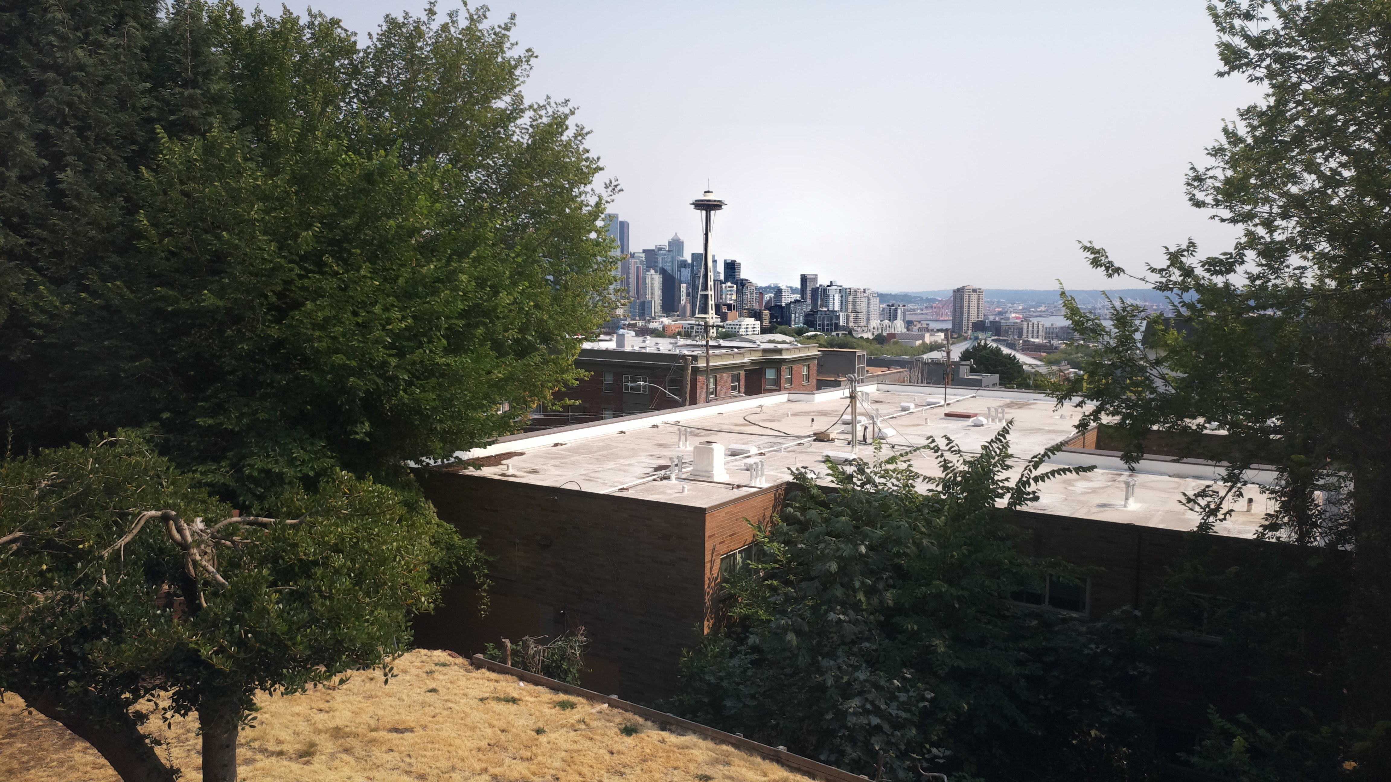 Mt. Rainier from Seattle — Monday, August 3