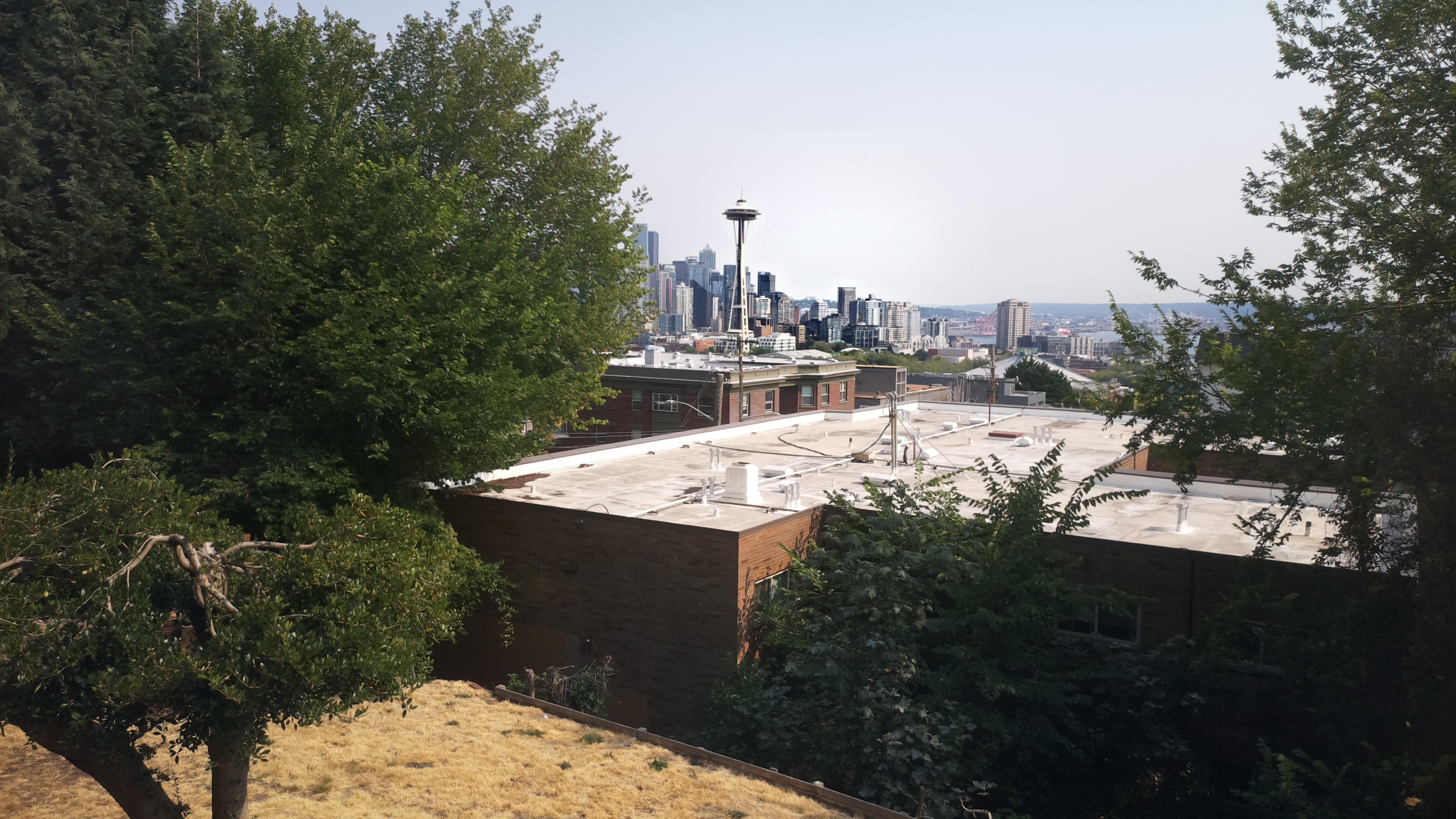 Mt. Rainier from Seattle — Monday, August 3
