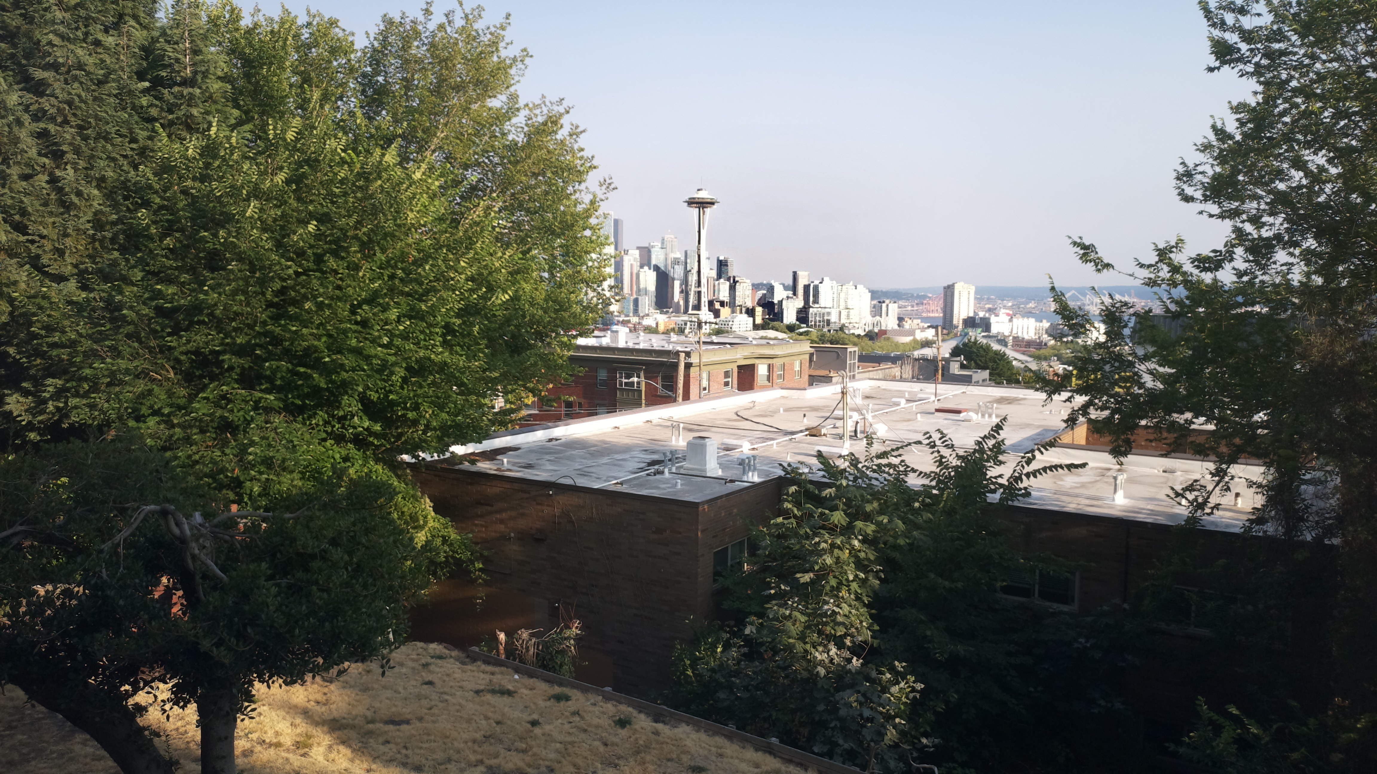 Mt. Rainier from Seattle — Monday, August 3